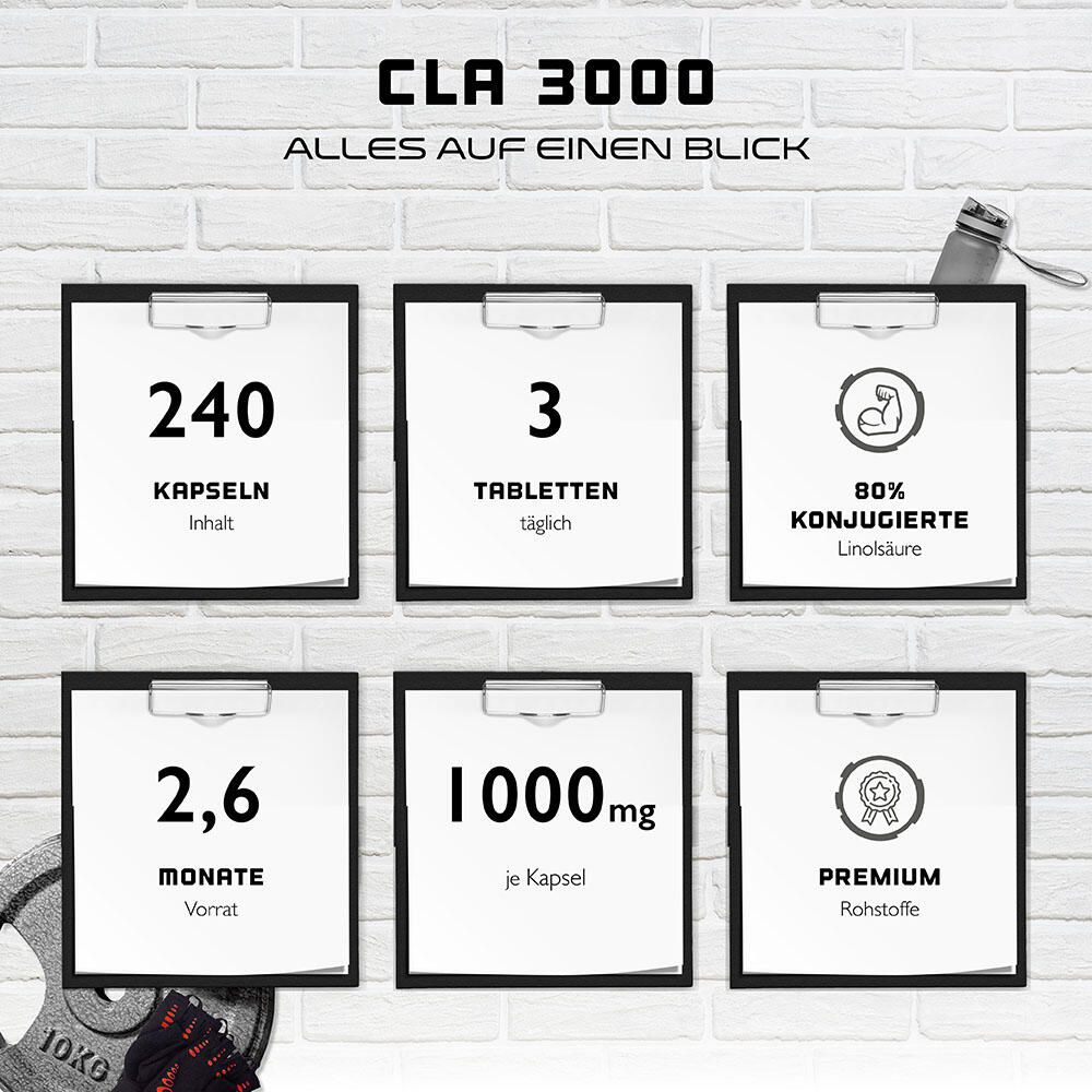 CLA 3000-Informationstafel. 240 Kapseln, 3 Tabletten täglich, 80% konjugierte Linolsäure, 2,6 Monate Vorrat, 1000mg pro Kapsel, Premium Rohstoffe.