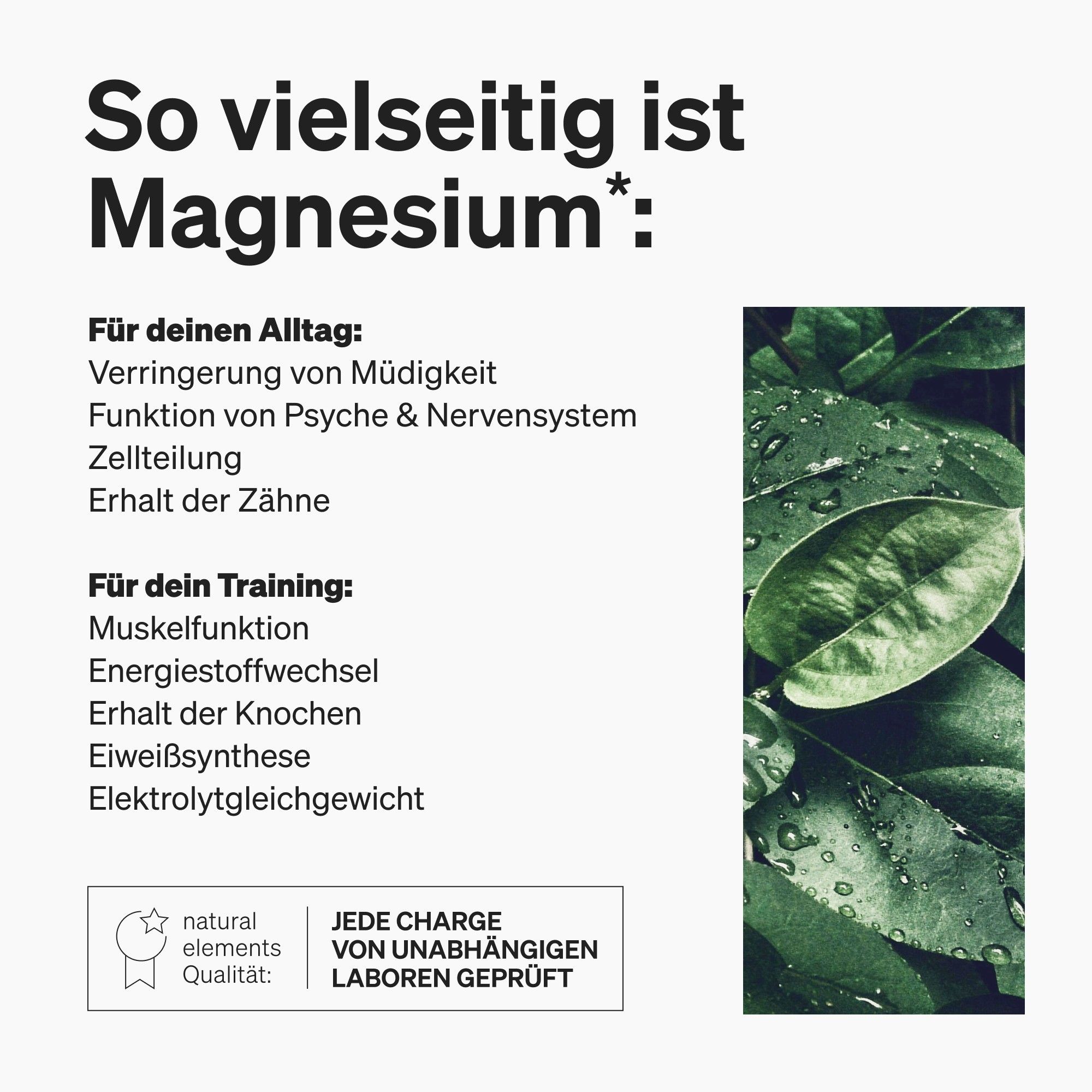Text: So vielseitig ist Magnesium*. Auflistung von Vorteilen. Logo: natural elements. Text: Jede Charge von unabhängigen Laboren geprüft.