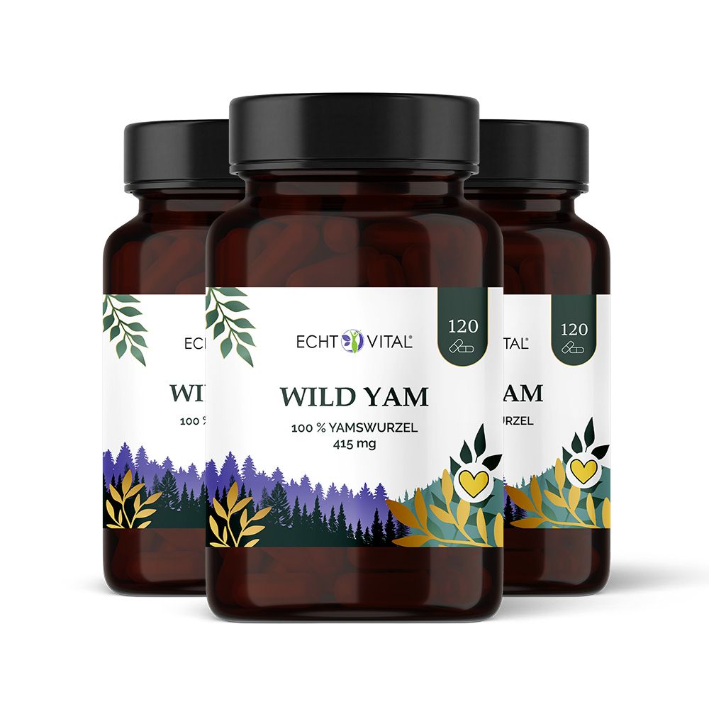 Drei braune Glasflaschen mit schwarzem Deckel. Aufschrift: Echt Vital Wild Yam, 100% Yamswurzel, 415 mg. 120 Kapseln.