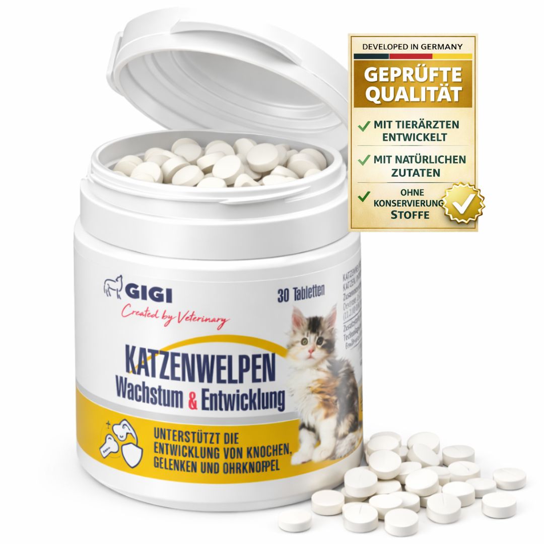 Produktverpackung mit Tabletten. Aufschrift: GIGI VET Katzenwelpen Wachstum & Entwicklung. 30 Tabletten. Geprüfte Qualität.