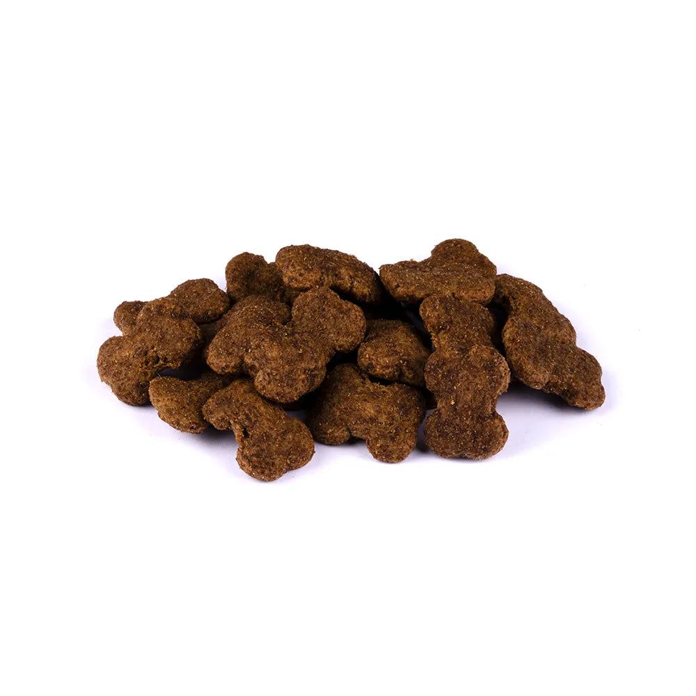 Brit Care Dog - Crunchy Cracker - Insects with Turkey enriched with Apples