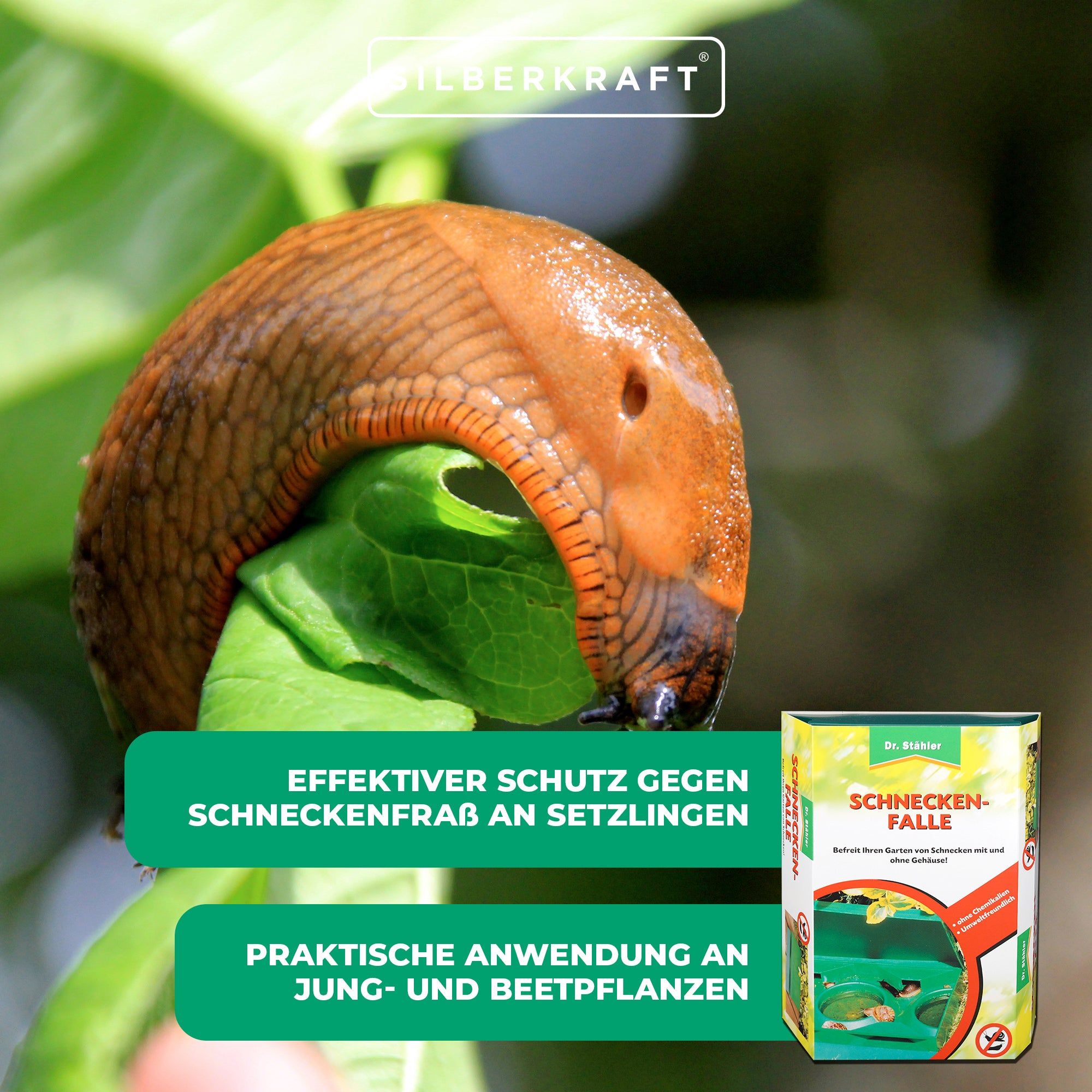 SILBERKRAFT Clevere Schneckenfalle