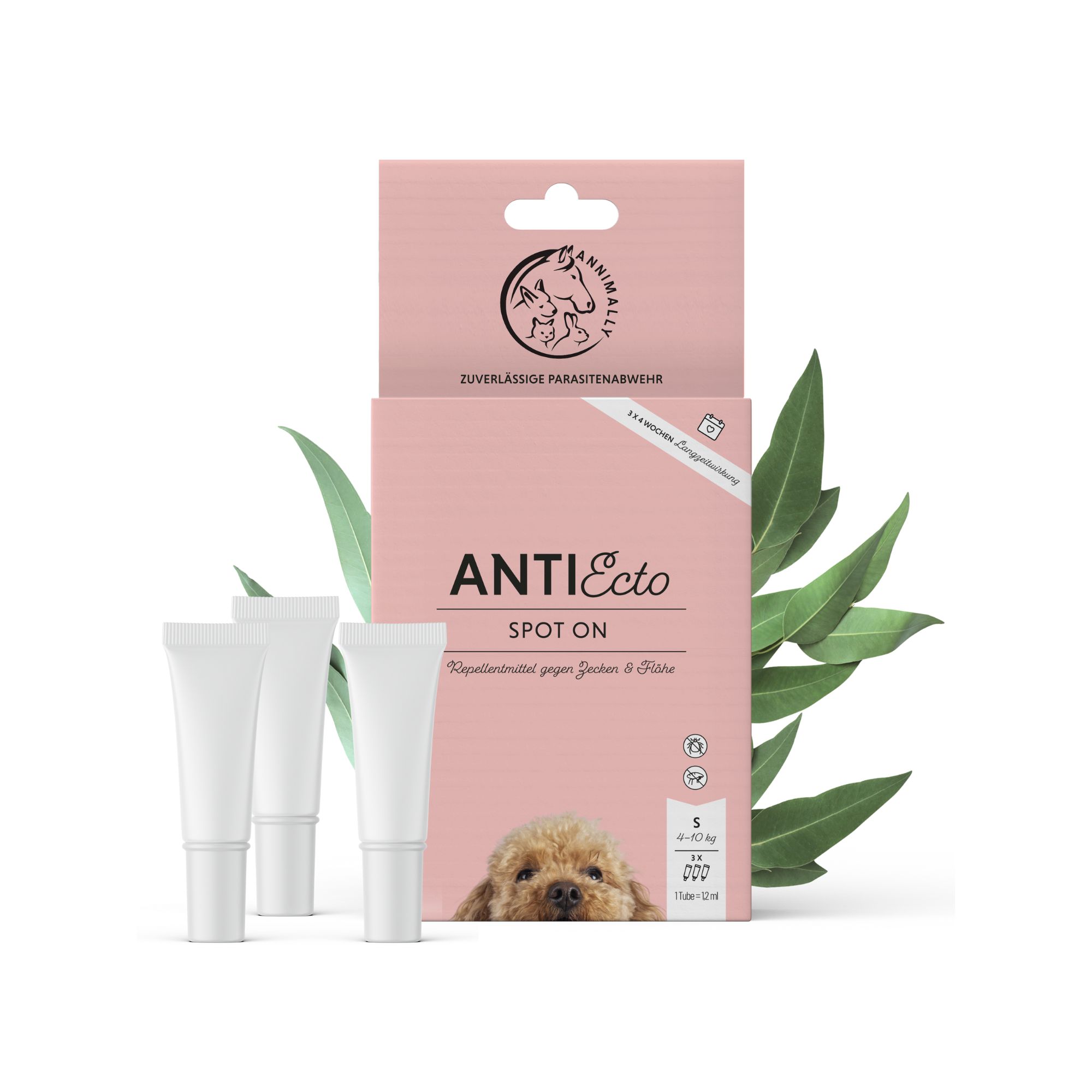 Verpackung mit drei Tuben AntiEcto Spot On. Logo: Annimally. Text: AntiEcto Spot On.