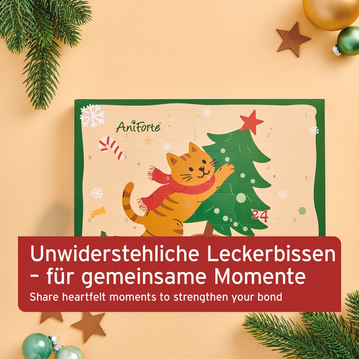 Adventskalender für Katze 2025. Grün umrandet, mit Katze, Weihnachtsbaum und Zahlen. Marke AniForte. Text: Unwiderstehliche Leckerbissen.