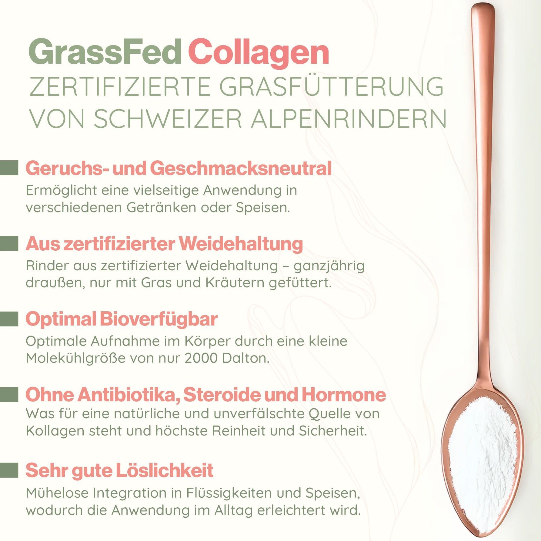 Löffel mit weißem Kollagenpulver. Text: "Geruchs- und Geschmacksneutral", "Aus zertifizierter Weidehaltung", "Optimal Bioverfügbar", "Ohne Antibiotika, Steroide und Hormone", "Sehr gute Löslichkeit".