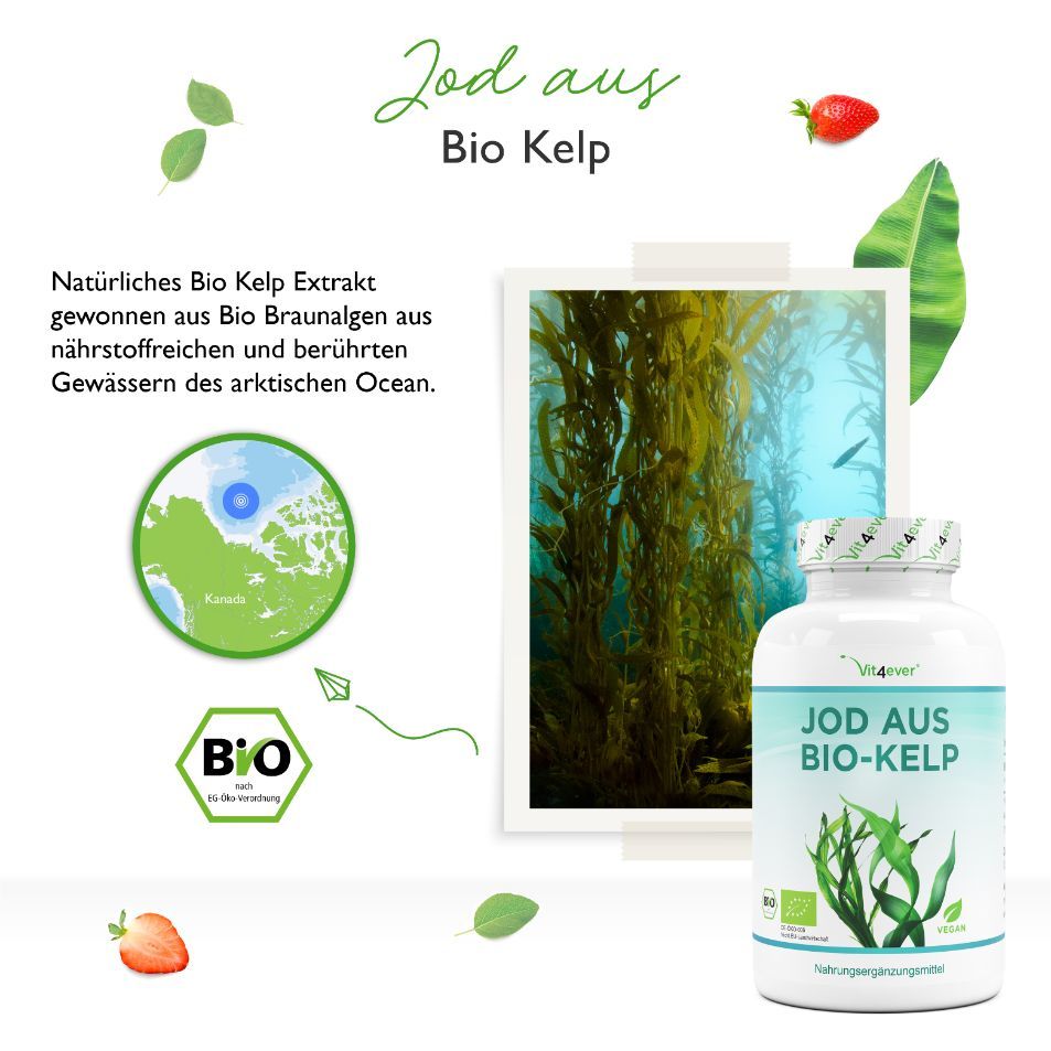 vit4ever - Bio Kelp Extrakt 365 St