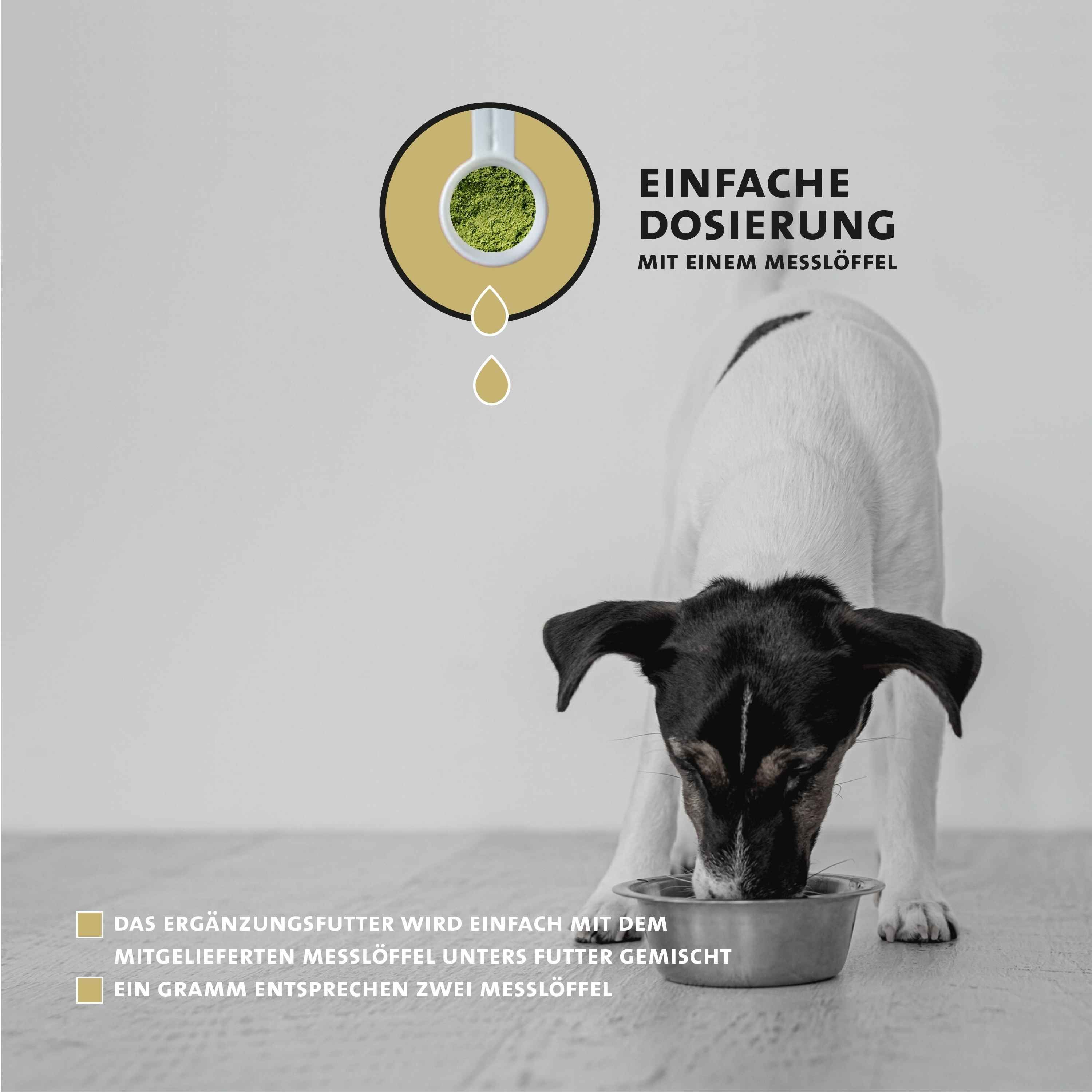 Peticare Natürliches Zahnpflege Pulver für Hunde