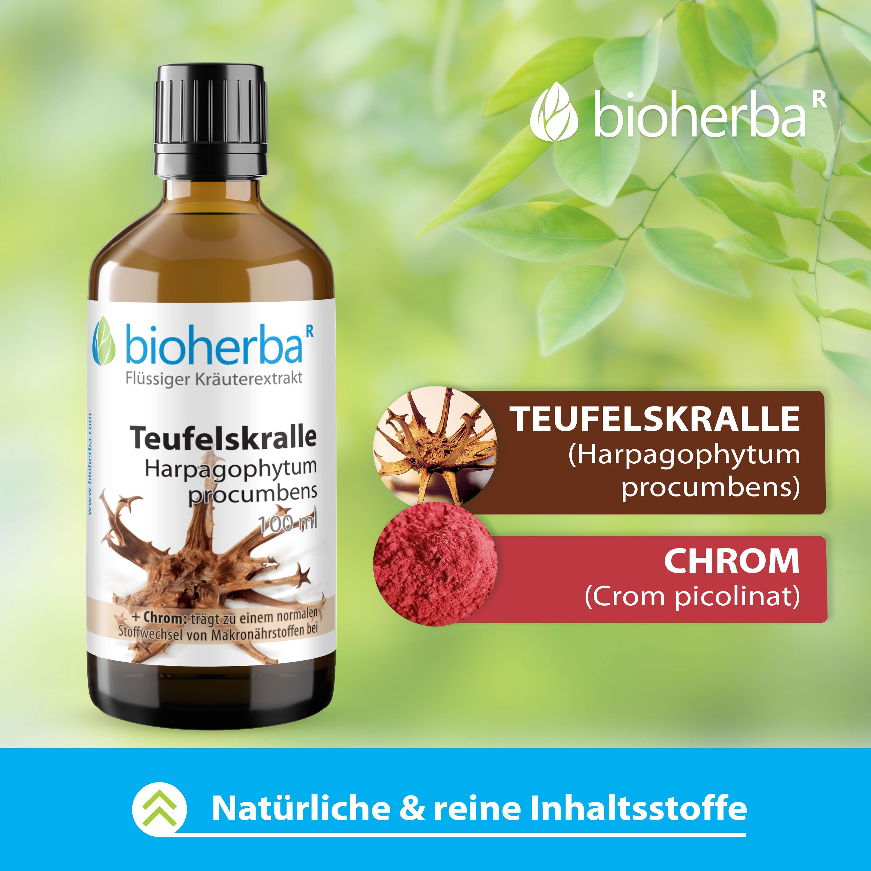 Bioherba Teufelskralle Tropfen  Tinktur Extrakt