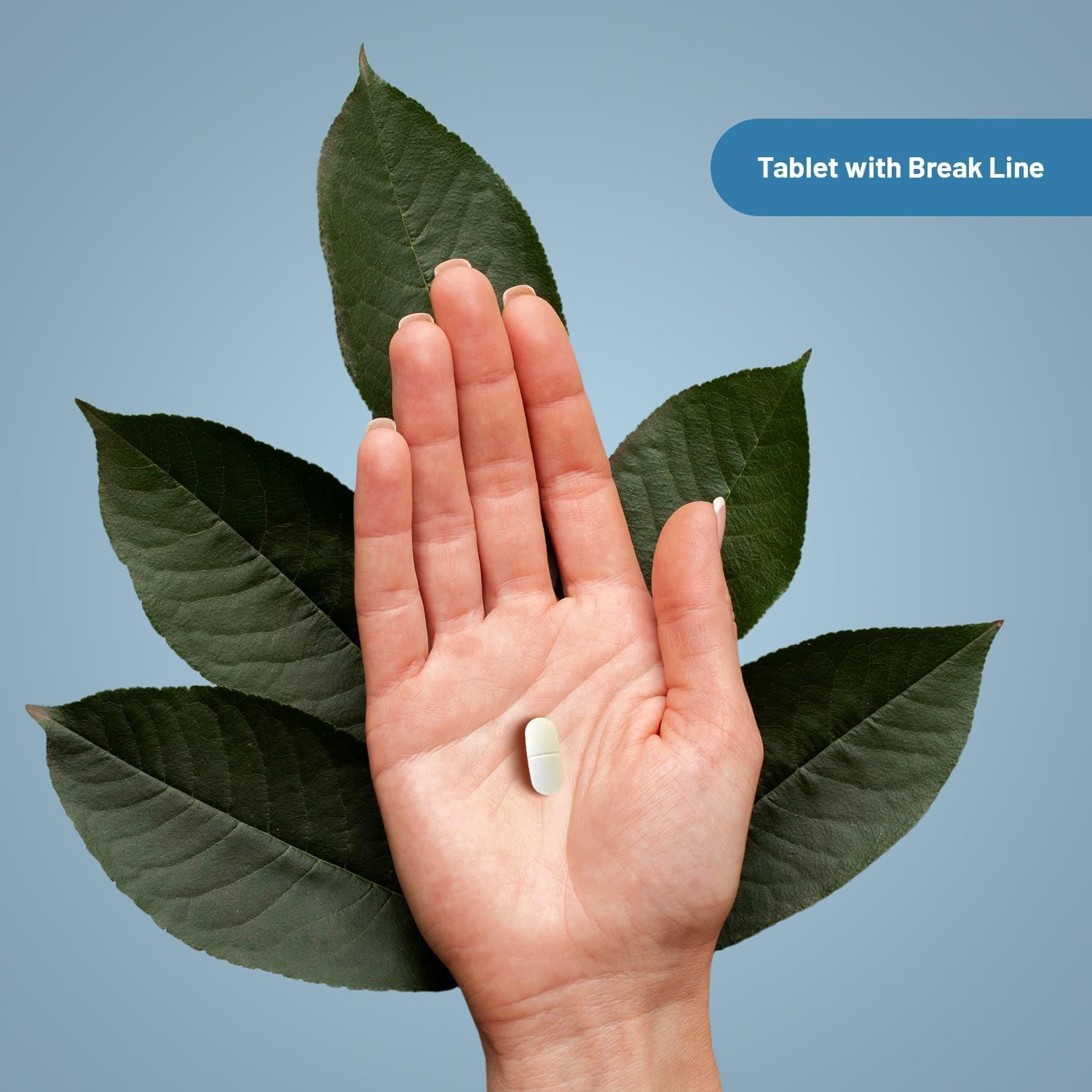 Prowise Healthcare Magnesiumglycinat-Komplex 4-in-1 – 1866 mg