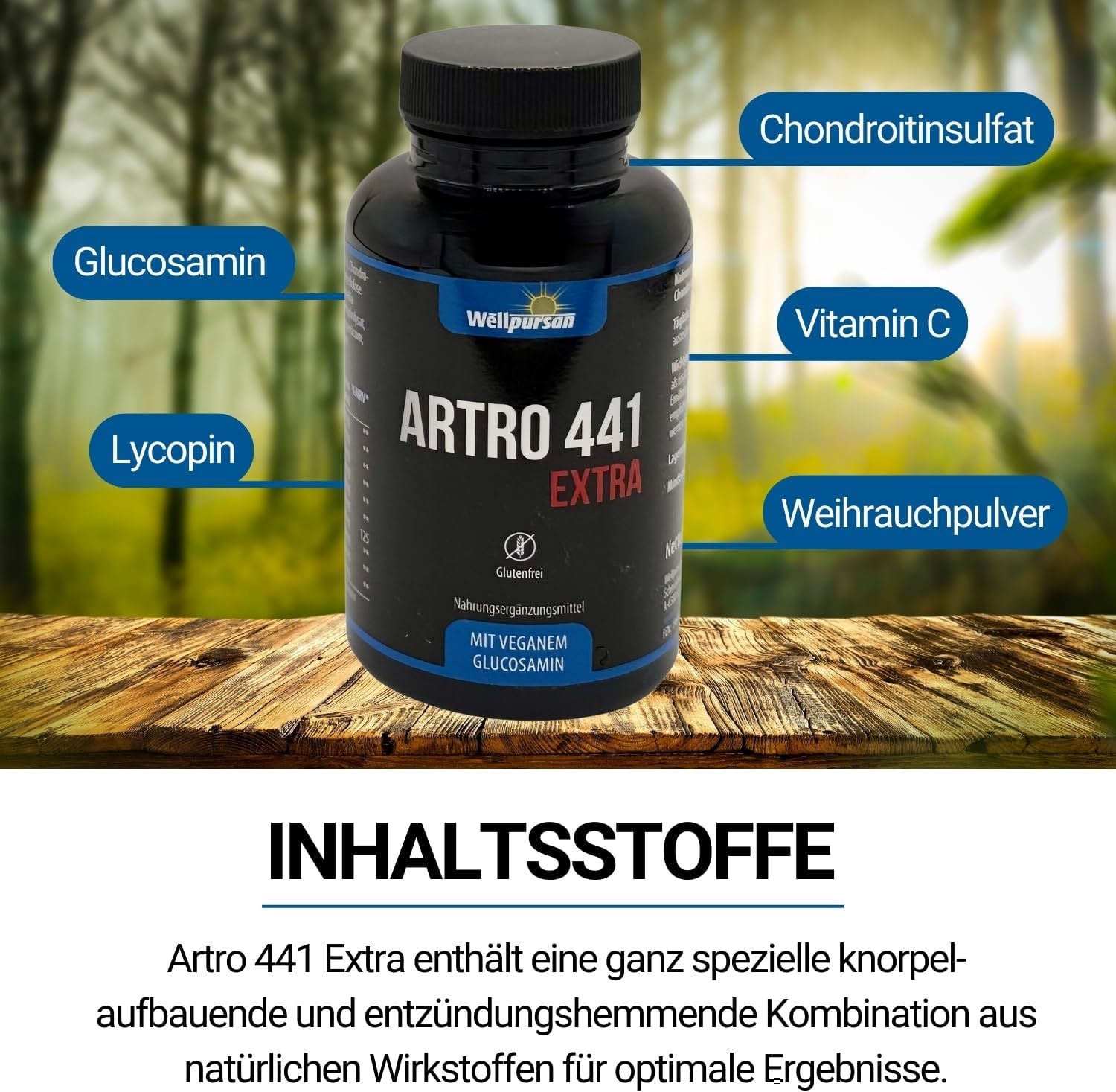 Wellpursan Artro 441 Extra