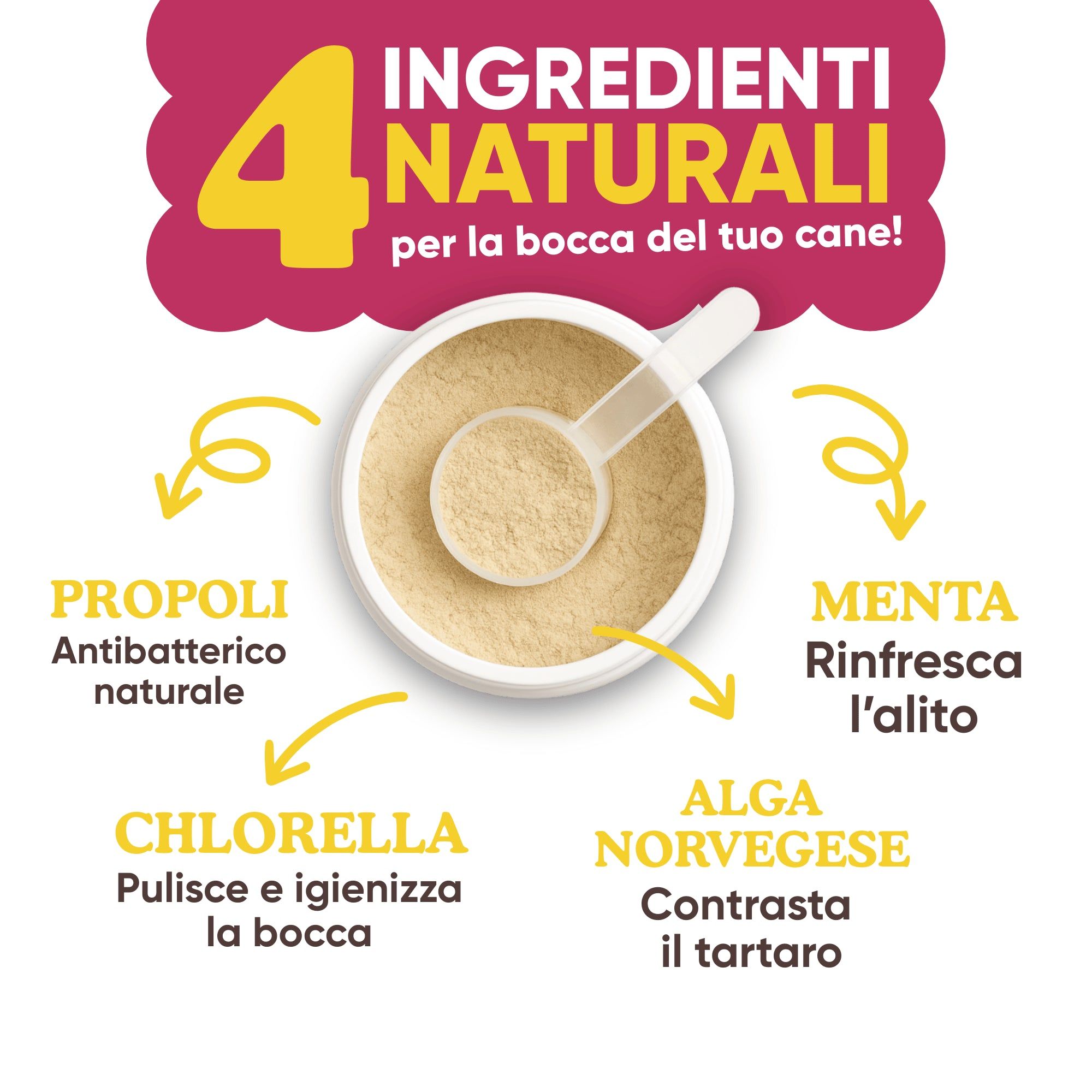 Behälter mit Pulver und Messlöffel. Text: 4 natürliche Inhaltsstoffe. Pfeile zeigen auf Propolis, Minze, Chlorella, Algen.