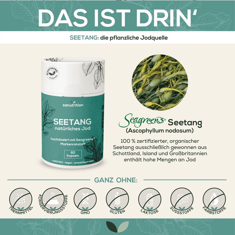 Infografik: Sanutrition Seetang Dose, Seetang-Illustration, Text: Seetang, 60 Kapseln, ohne Zusatzstoffe.