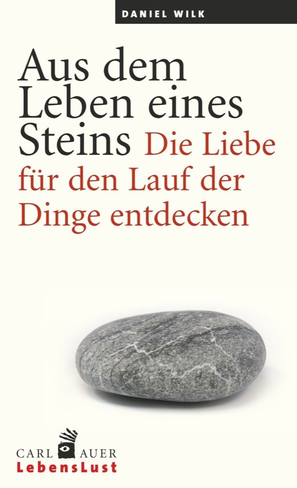 Buchcover mit Titel "Aus dem Leben eines Steins". Autor Daniel Wilk. Unterhalb ein grauer Stein. Verlag Carl Auer LebensLust.