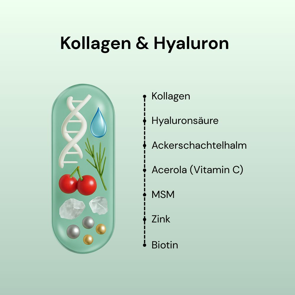 Grafische Darstellung von Inhaltsstoffen: Kollagen, Hyaluronsäure, Ackerschachtelhalm, Acerola, MSM, Zink, Biotin.