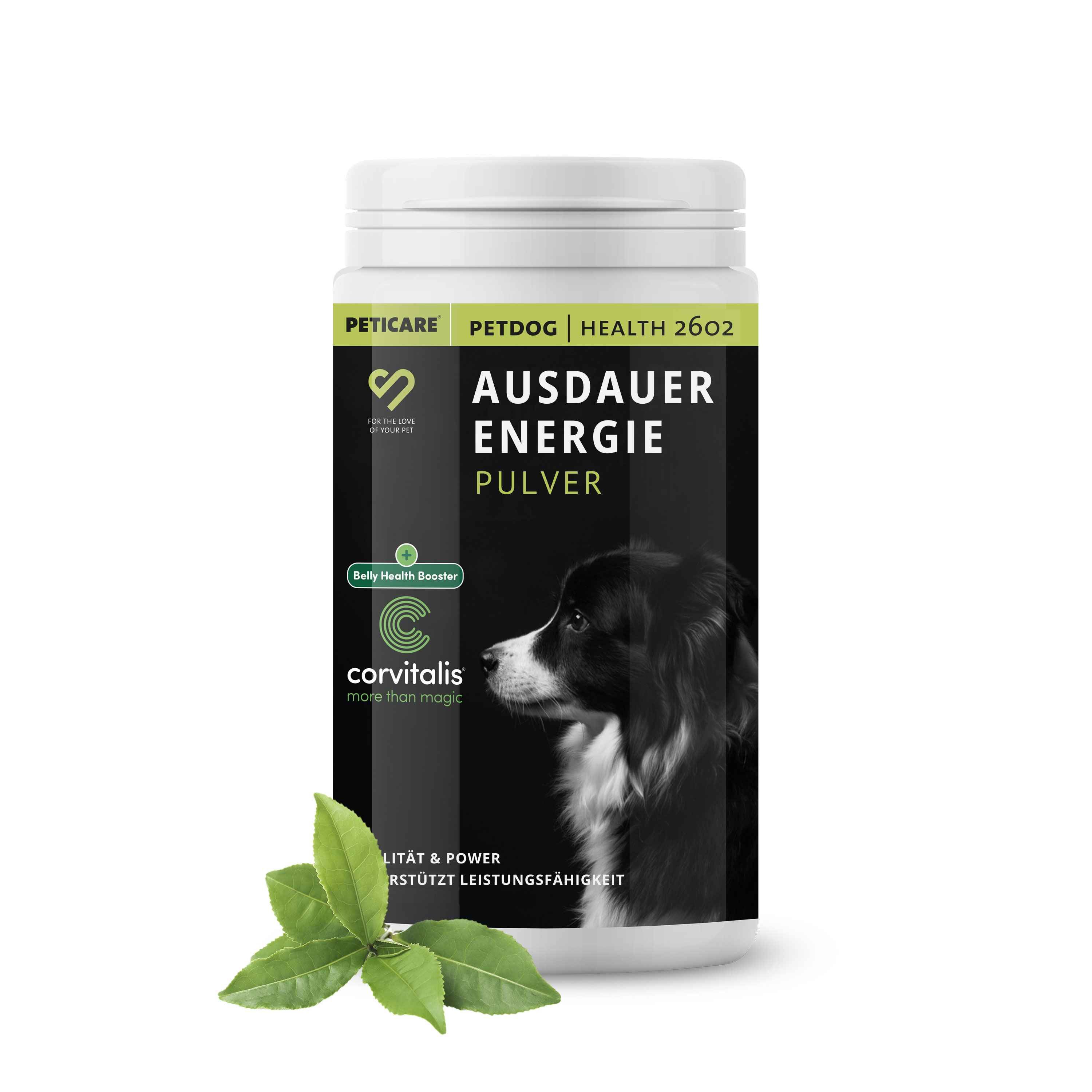 Peticare Sport & Leistung Pulver-Mix für Hunde, unterstützt Ausdauer, Fitness Muskelregeneration 250 g Pulver