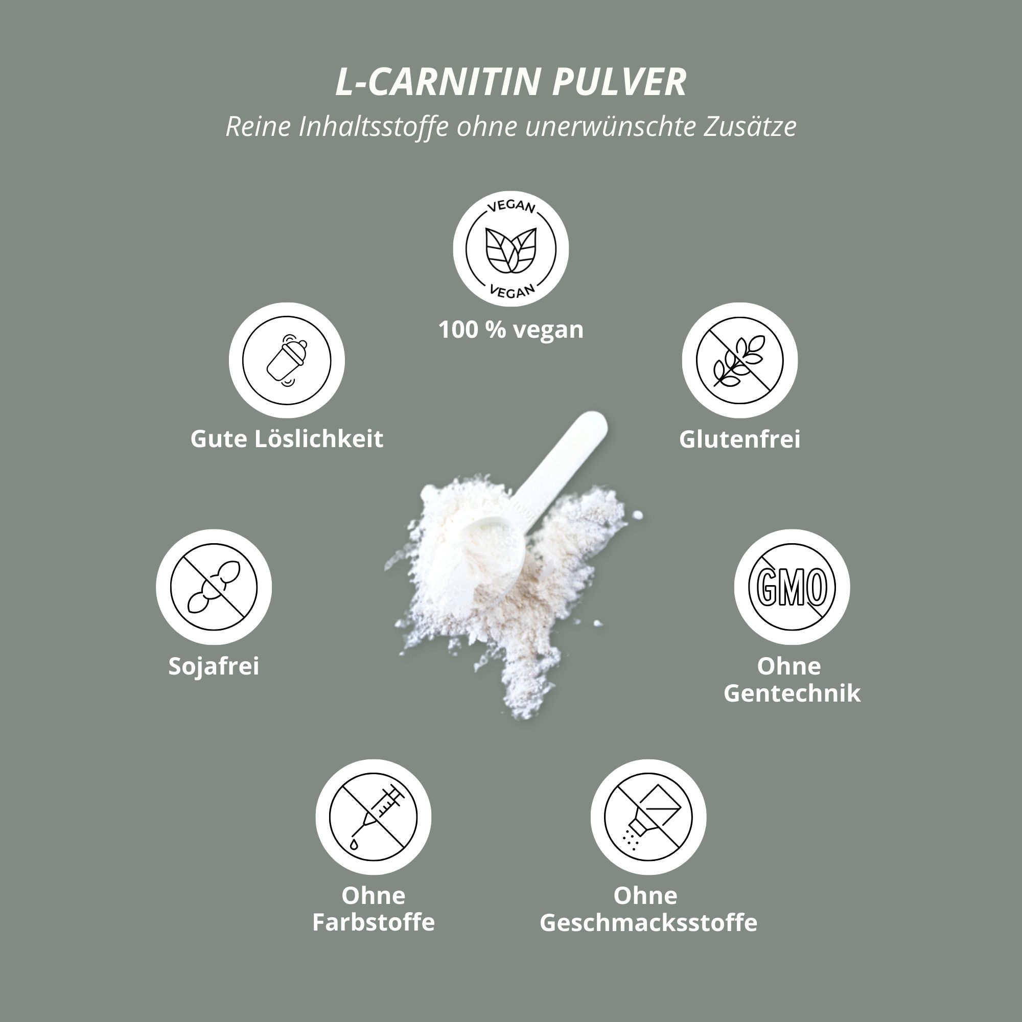 Kreisförmige Anordnung von Symbolen: Vegan, gute Löslichkeit, glutenfrei, sojafrei, ohne Gentechnik, ohne Farb- und Geschmacksstoffe. Pulver und Löffel.