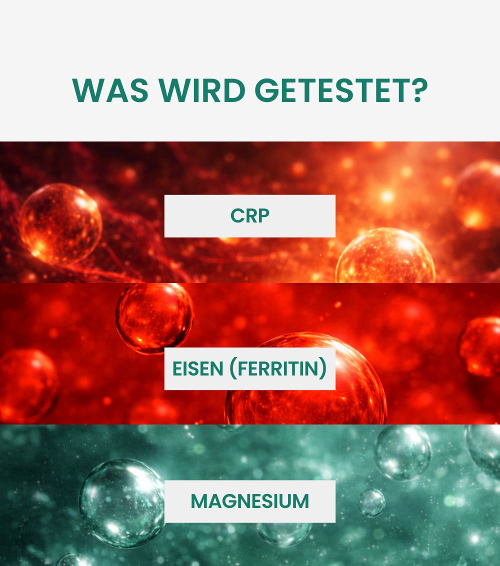 MetaLytic - Entzündungs- & Regenerationstest (CRP, Eisen, Magnesium)