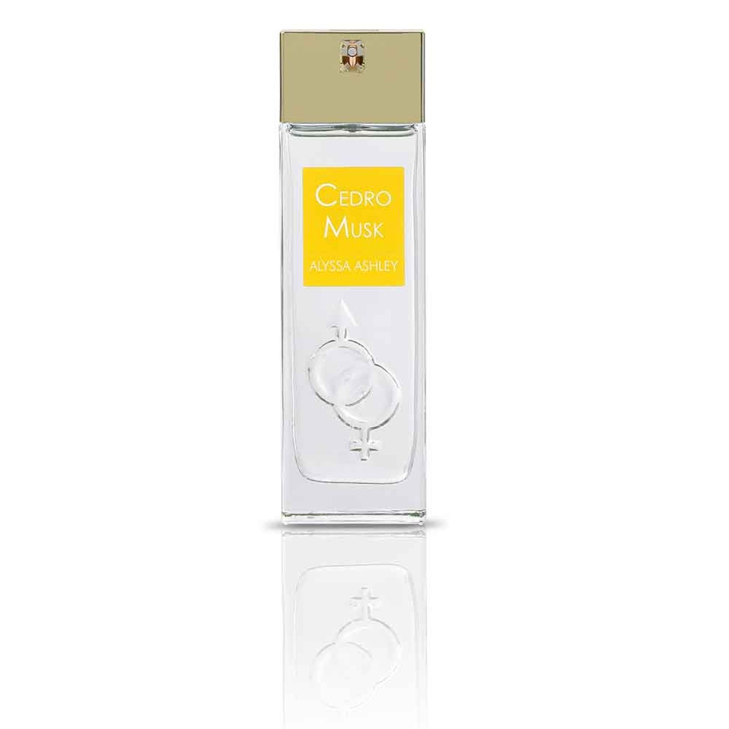 Tribute to Musk Cedro Musk Eau de Parfum Spray 100 ml