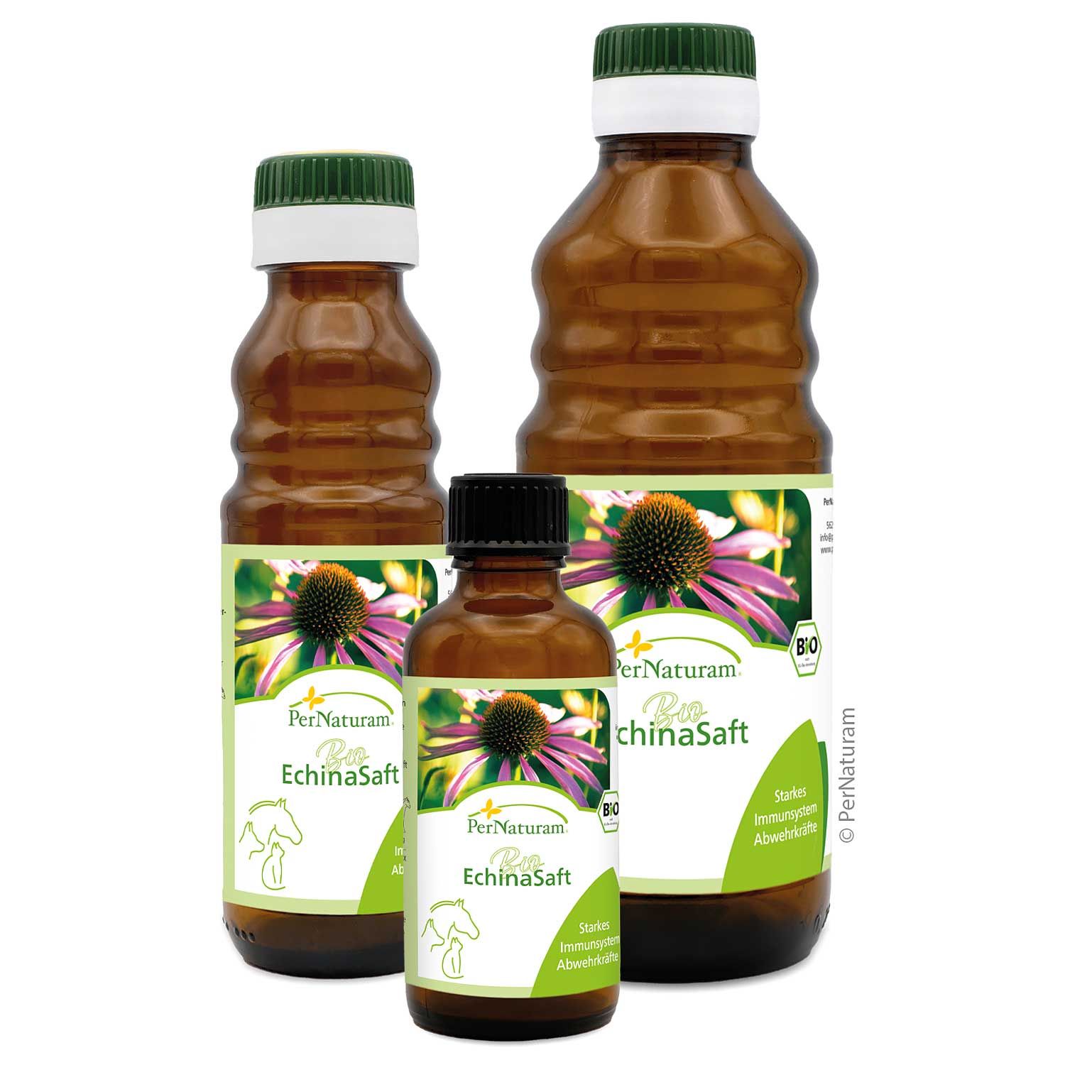 Drei braune Glasflaschen mit grünen und weißen Etiketten. Auf den Etiketten steht "Bio EchinaSaft" und ein lila Blütenbild. Grüne Deckel.