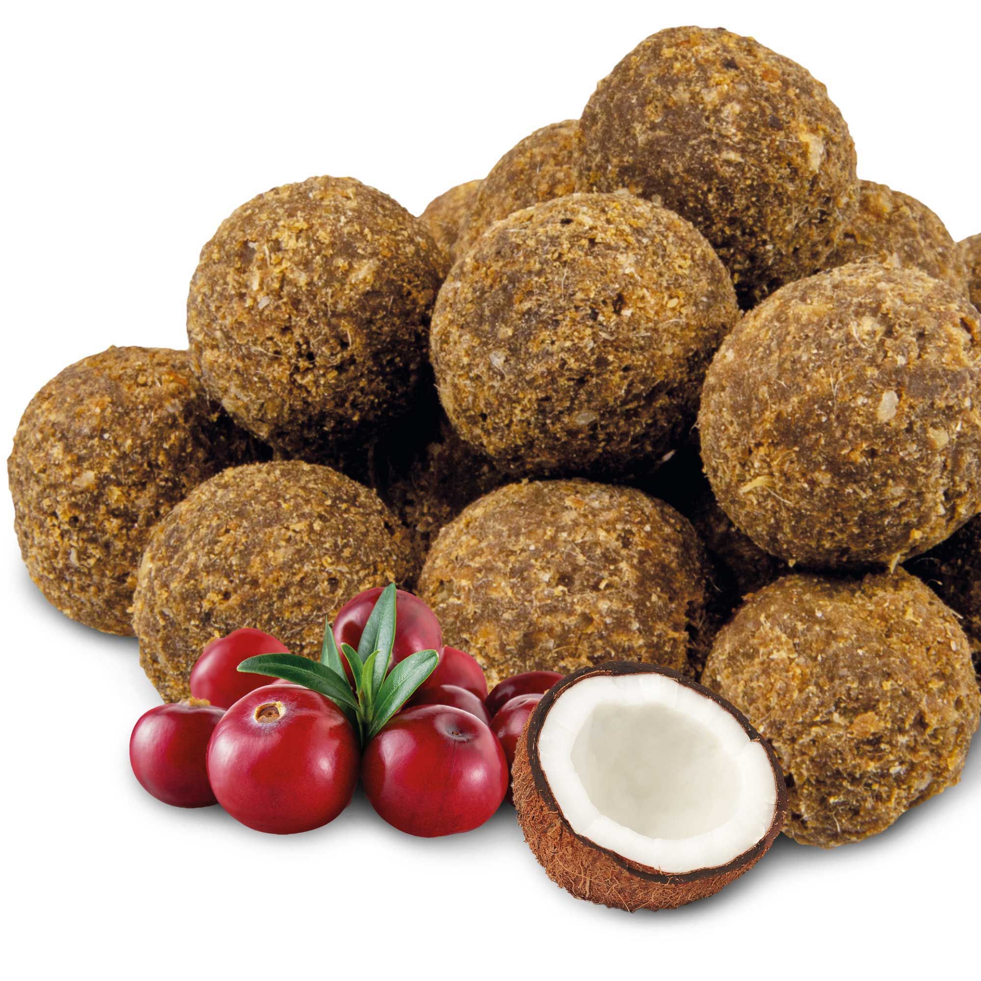 Braune Trüffeln, Cranberries und Kokosnuss. Einige Trüffeln sind sichtbar.