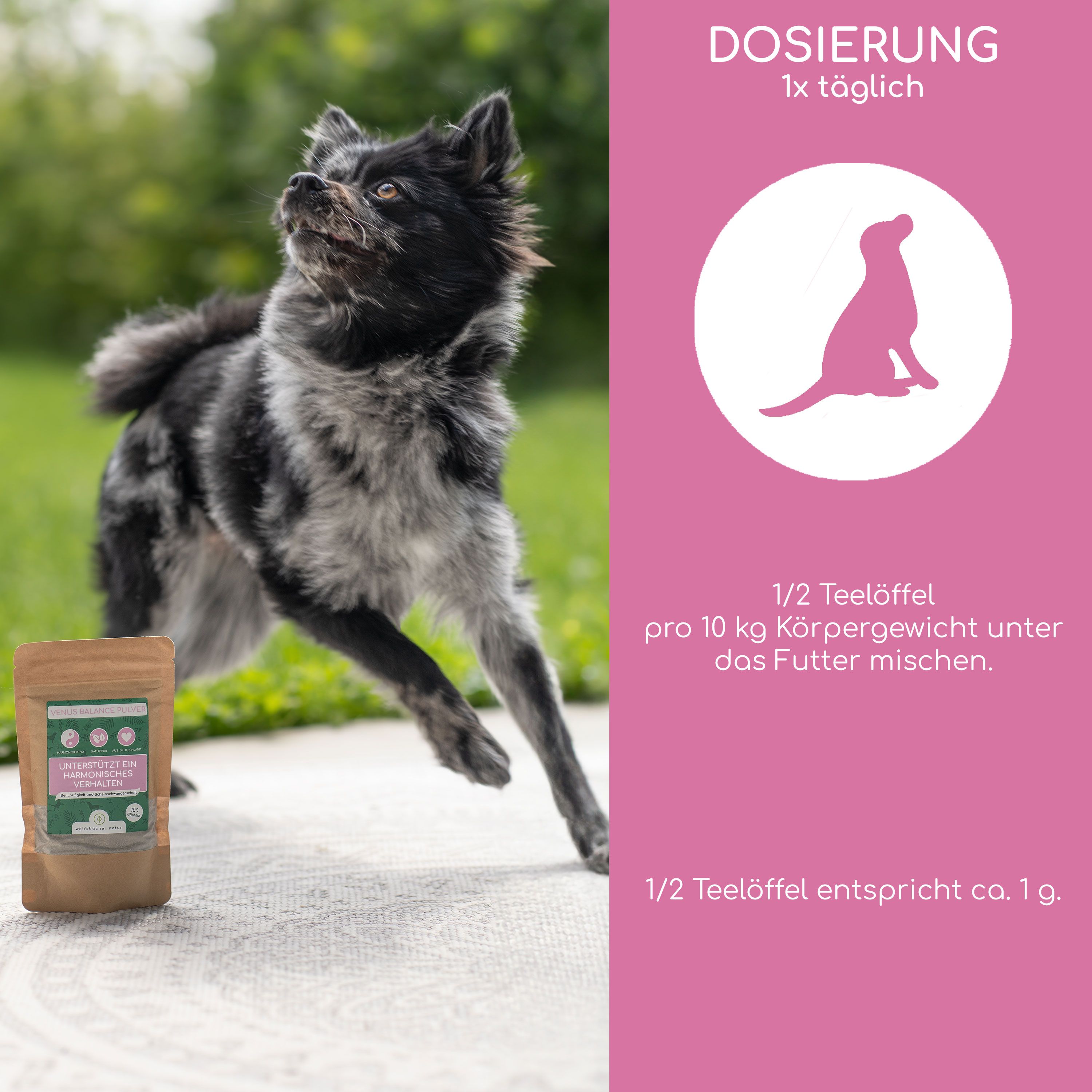 Hund rennt. Rosa Hintergrund mit Text: Dosierung 1x täglich. 1/2 Teelöffel pro 10 kg Körpergewicht unter das Futter mischen.