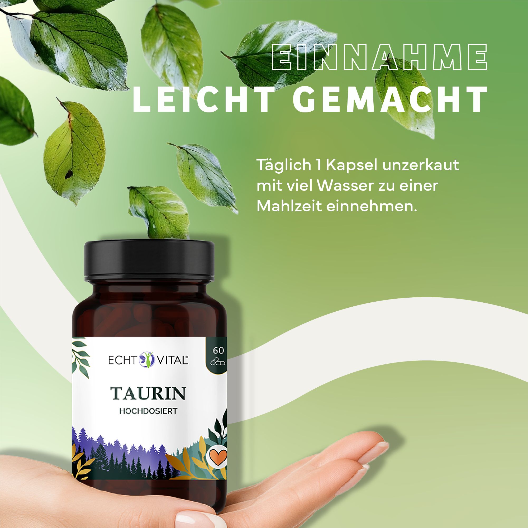 Braune Flasche mit schwarzem Deckel, gehalten von einer Hand. Aufschrift: Echt Vital Taurin. Text: 60 Kapseln. Einnahme leicht gemacht.