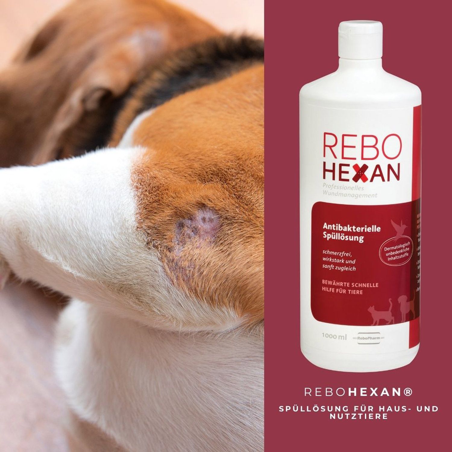 reboVet ReboHexan Spüllösung