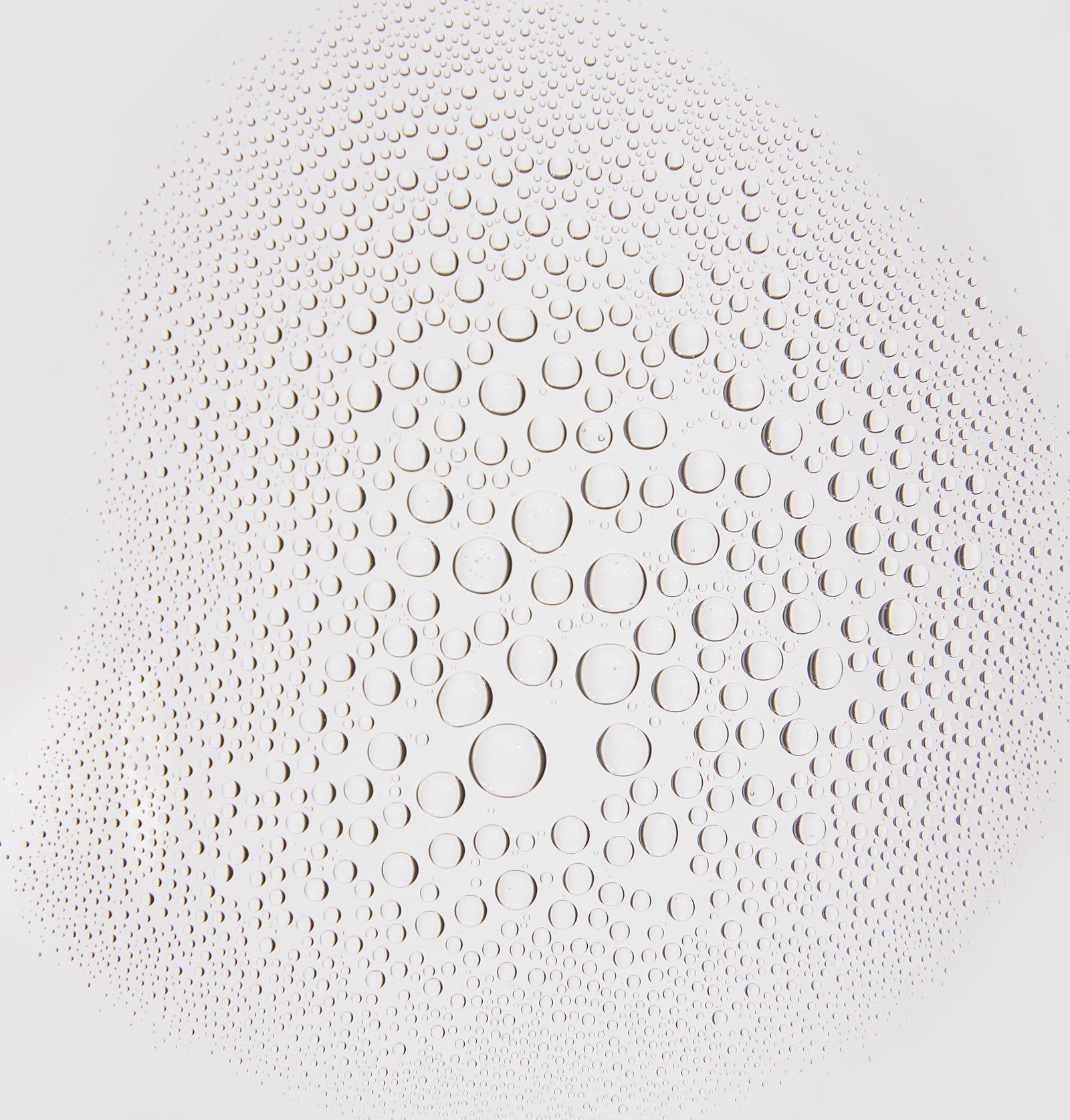 Rosental Organics Hydrating Face Mist