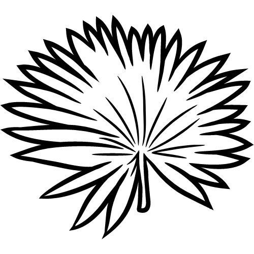 Schwarze, stilisierte Darstellung eines Blattes. Die Form ist fächerartig mit vielen feinen Linien.