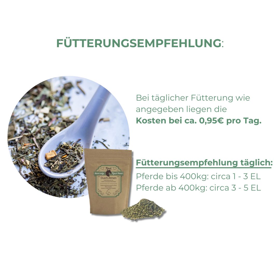 Beutel mit Kräutern und loser Kräuterhaufen. Löffel mit Kräutern. Text: Fütterungsempfehlung.