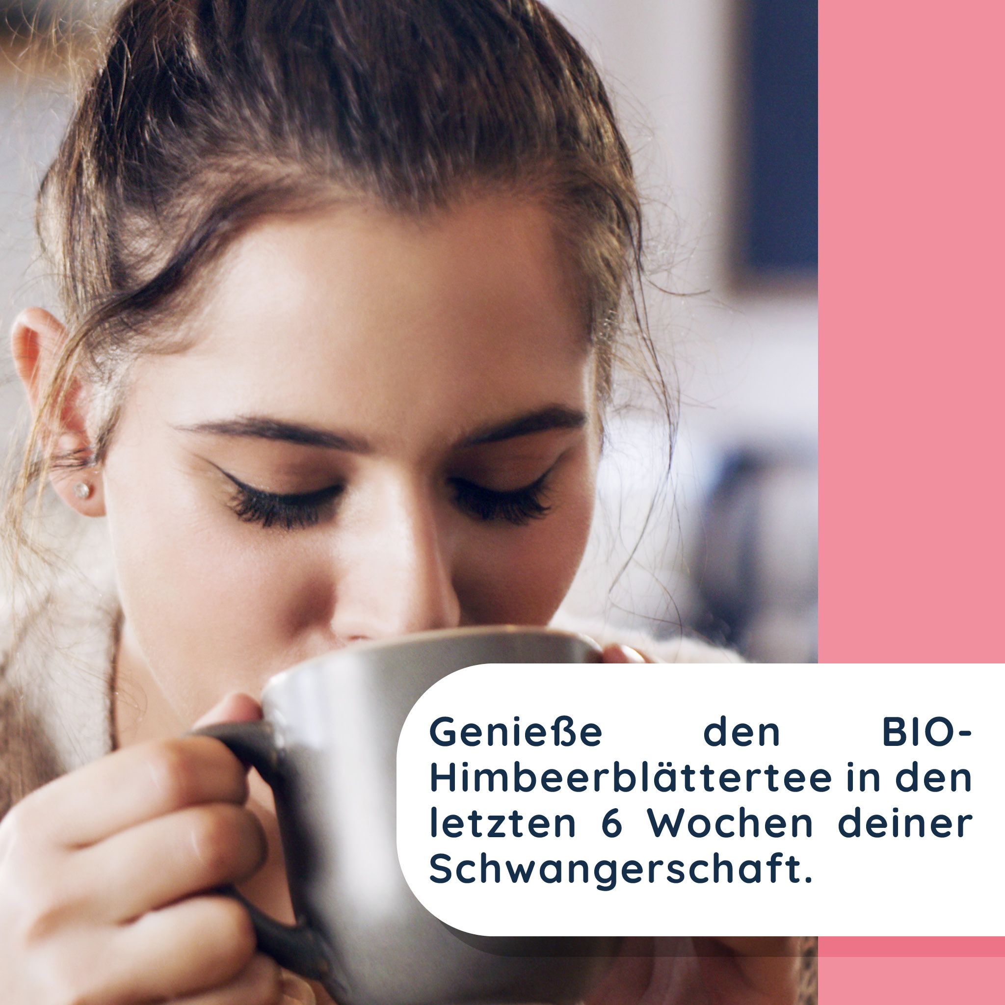 miapanda Himbeerblättertee (BIO)
