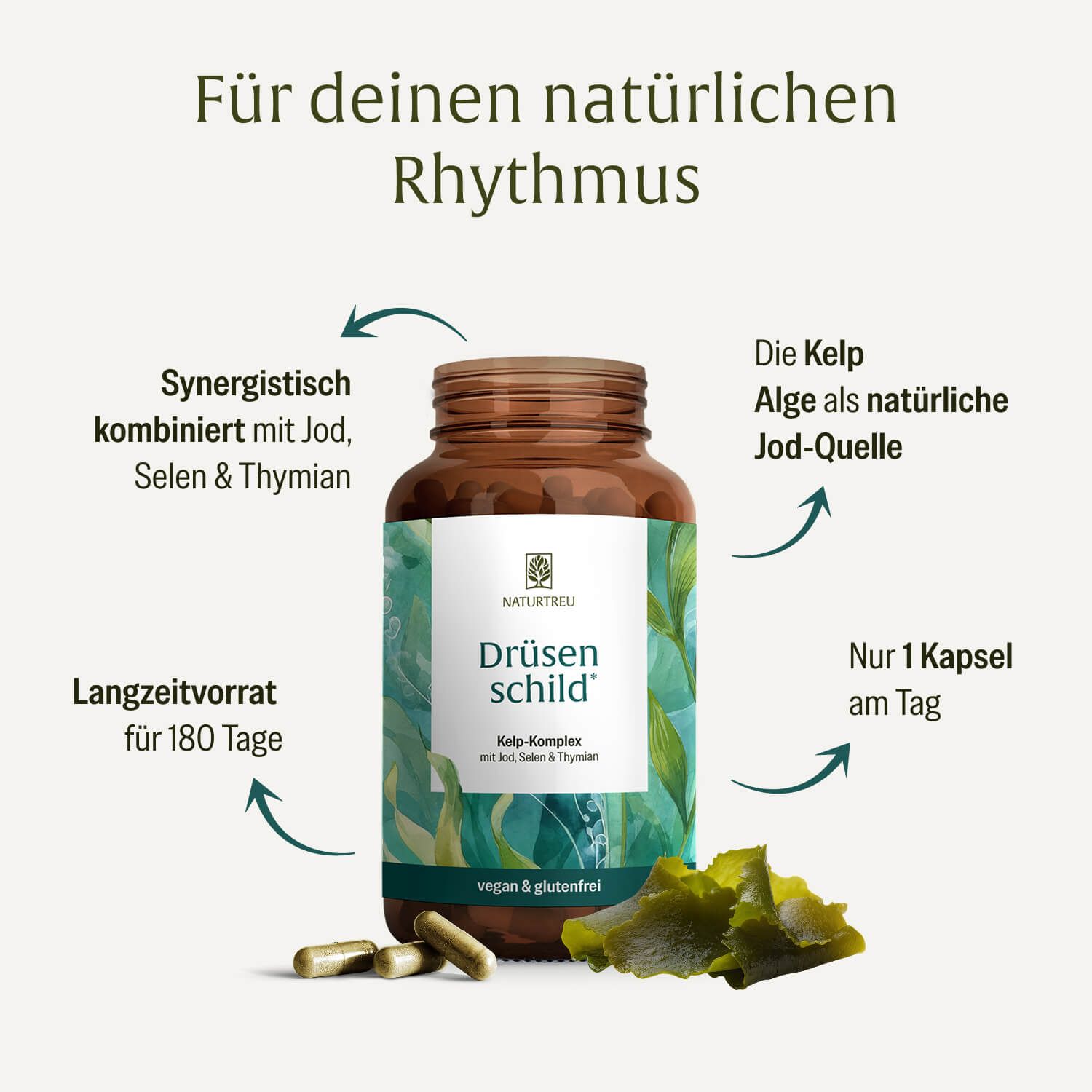 NATURTREU® Drüsenschild Flasche mit Kapseln, umgeben von Kelp-Blättern. Informationen zu Inhaltsstoffen und Anwendung.
