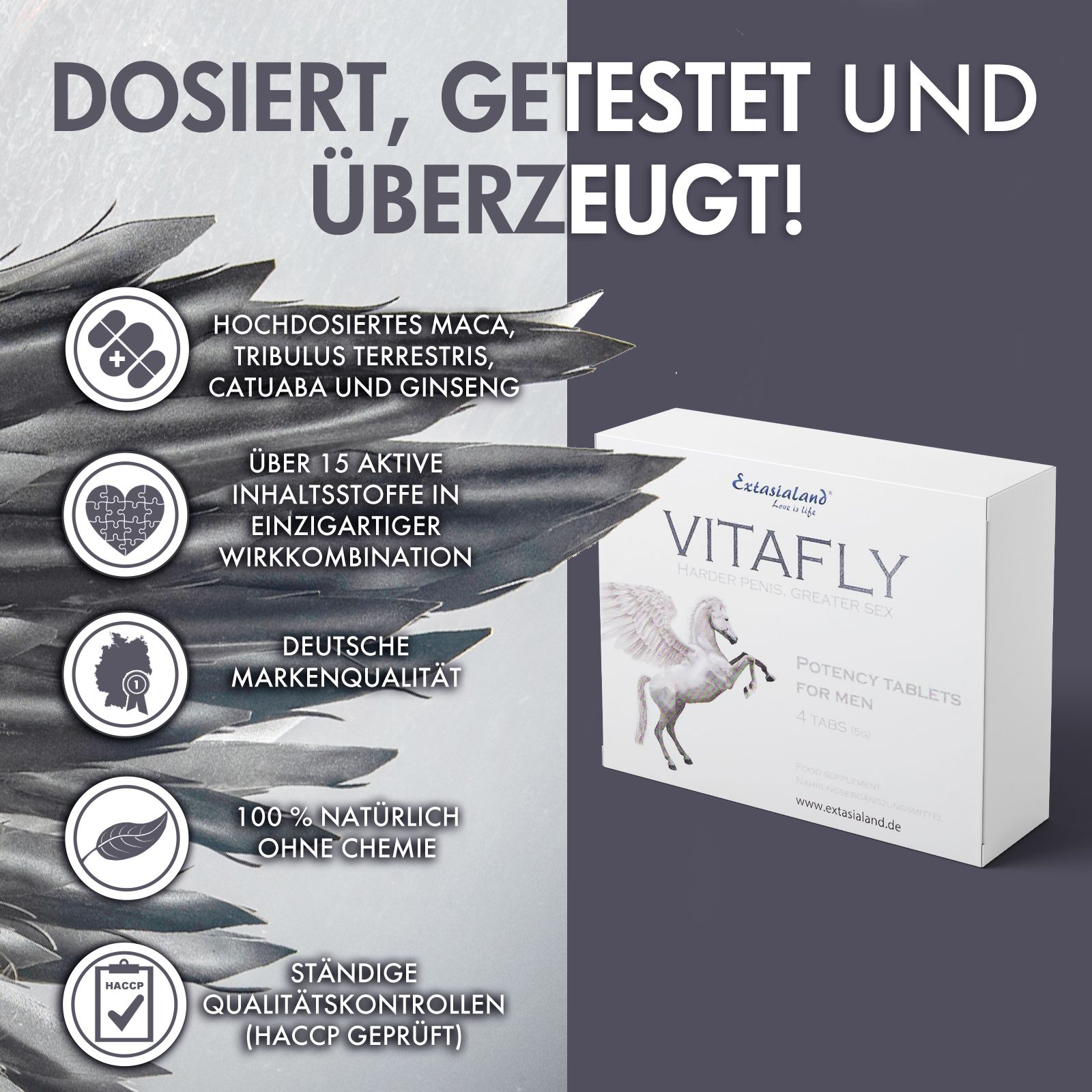 Weiße Schachtel mit VitaFly-Logo und Text. Text: « Deutsche Markenqualität » und « HACCP geprüft ».