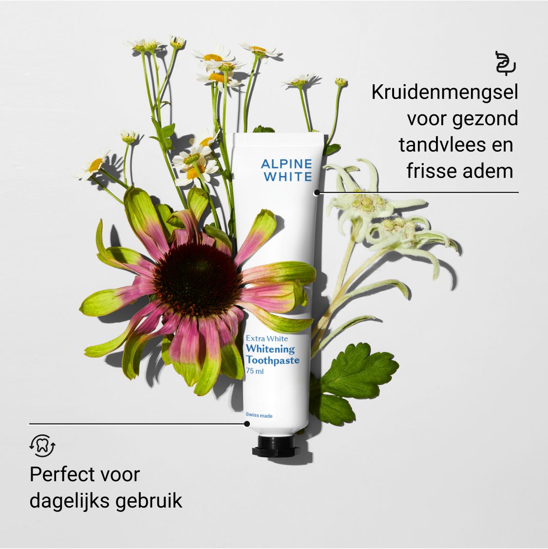 Tandpasta omringd door bloemen. Tekst: ALPINE WHITE, Extra White Whitening Toothpaste, 75 ml.