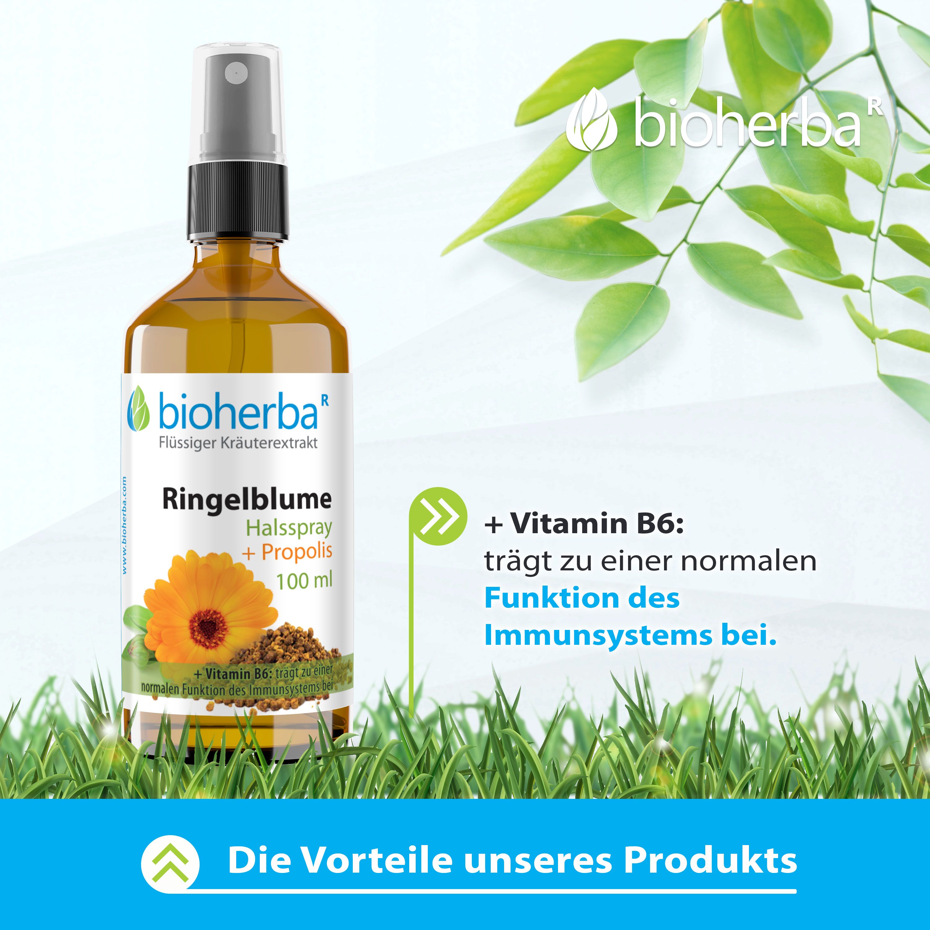 Bioherba Halsspray Ringelblume Extrakt mit Propolis 100 ml