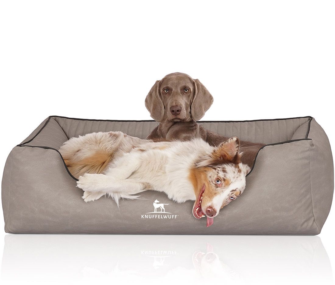 Hundebett Columbia, beige, mit zwei Hunden. Ein Hund liegt, einer sitzt. Knuffelwuff-Logo.