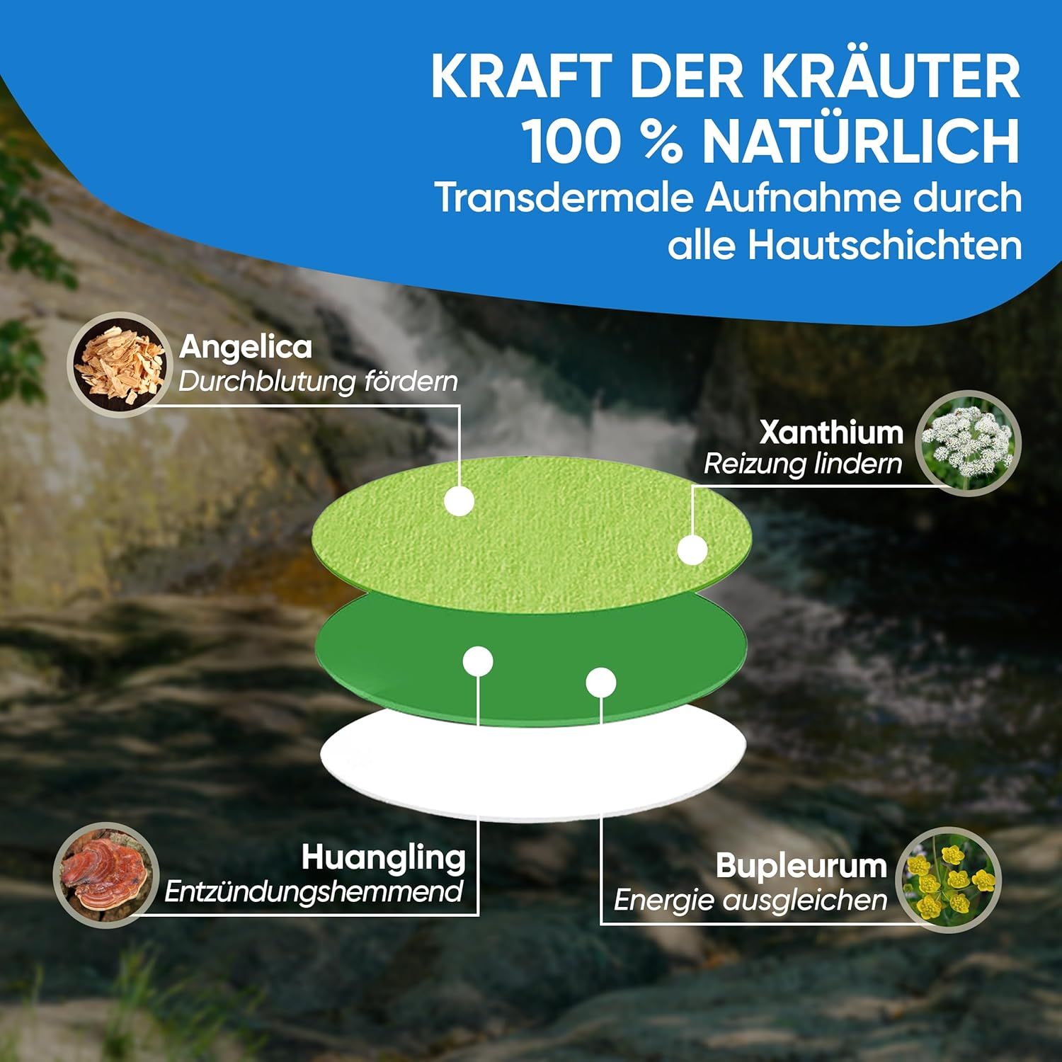 Wellpursan Tinnitus Stop Patch