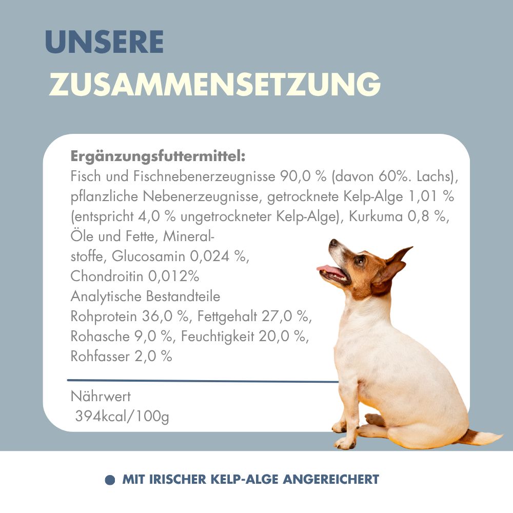Hund sitzt neben einer Tabelle mit Inhaltsstoffen und Nährwerten für Ergänzungsfuttermittel.