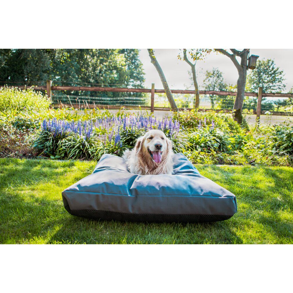 Hund liegt auf einem grauen Hundebett im Garten. Anthrazitfarbenes Kissen auf Rasen.