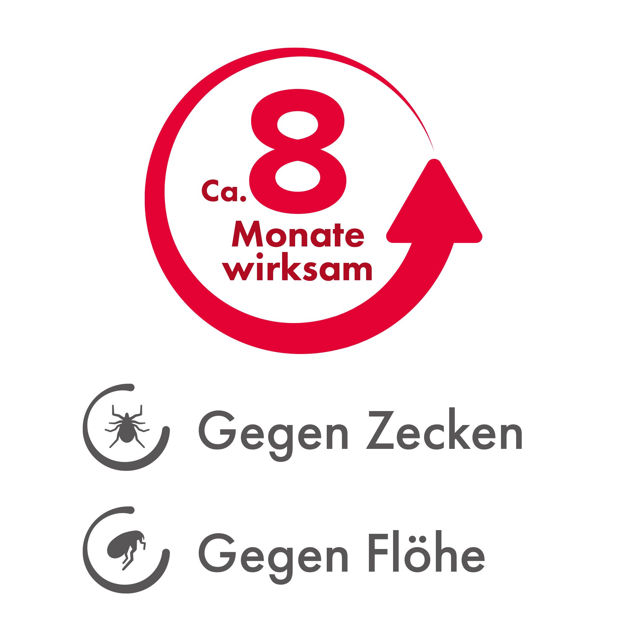 Beaphar Zecken-Flohband mit Langzeitschutz für Hunde