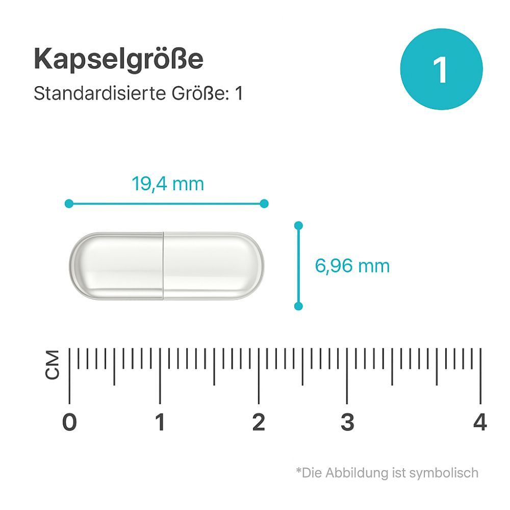 Kapsel mit Maßangaben: 19,4 mm lang, 6,96 mm Durchmesser. Standardisierte Größe 1.