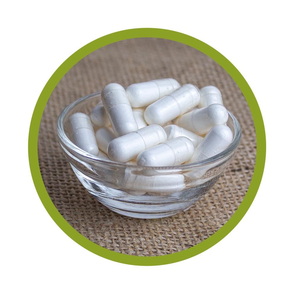 vitalundfitmit100® L-Carnosin Kapseln