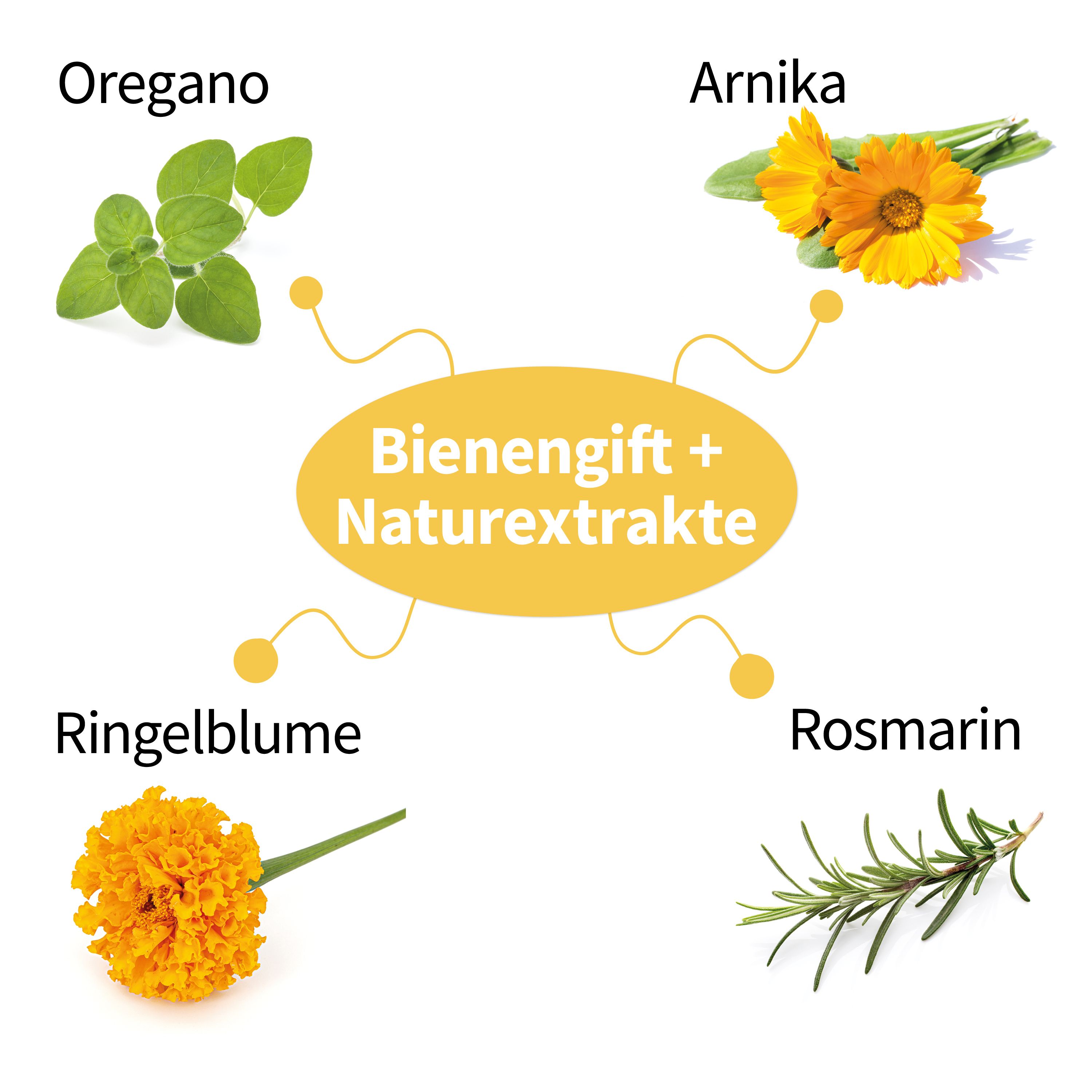 Grafik mit Pflanzen: Oregano, Arnika, Ringelblume, Rosmarin. Text: Bienengift + Naturextrakte.