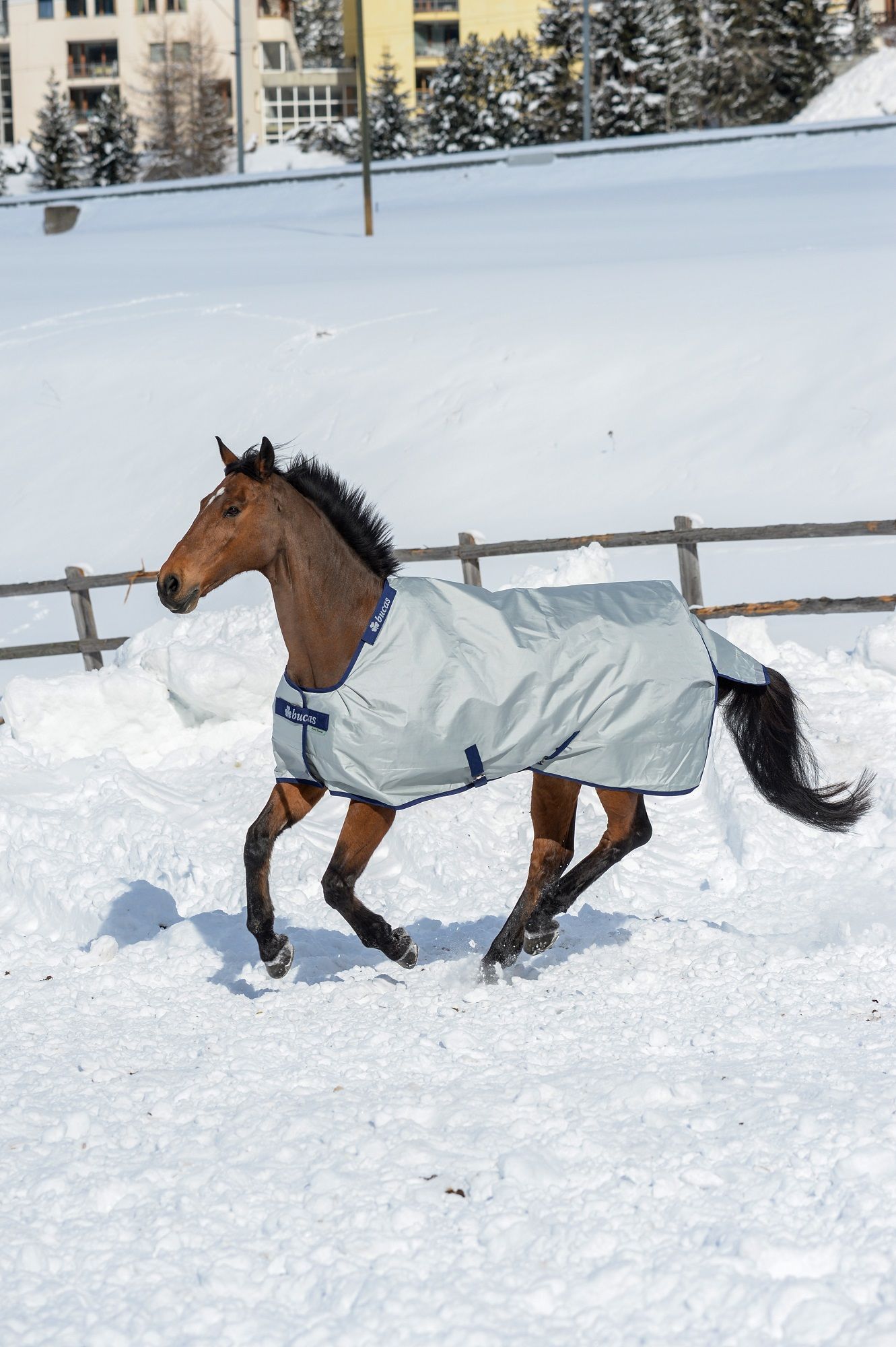 Pferdedecke, grau, mit blauem Rand. Logo Bucas. Pferd im Schnee.