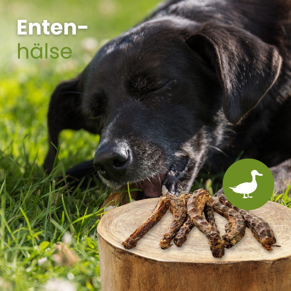 Getrocknete Entenhälse für Hunde, auf einem Baumstumpf liegend.