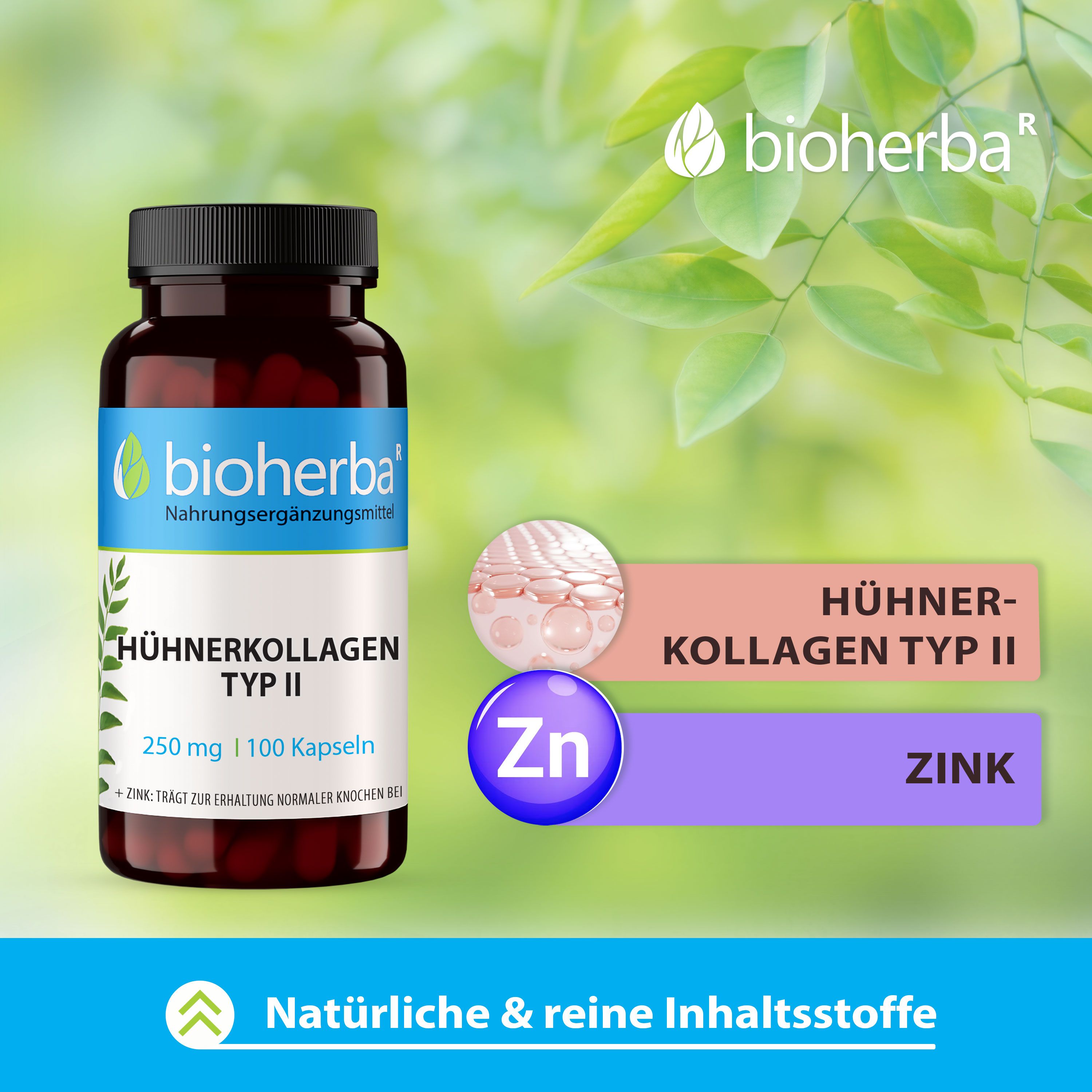 Bioherba Hühnerkollagen Typ II Kapseln