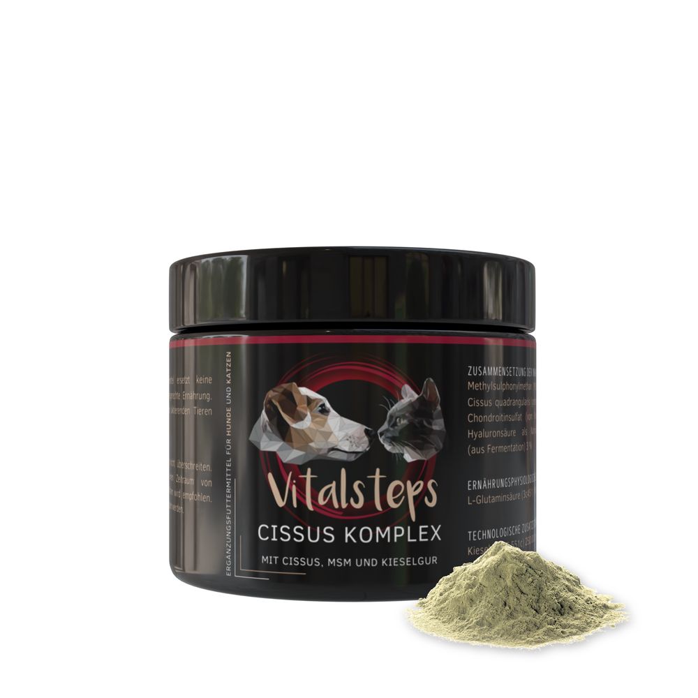 Vitalsteps Cissus Komplex 225 g Pulver