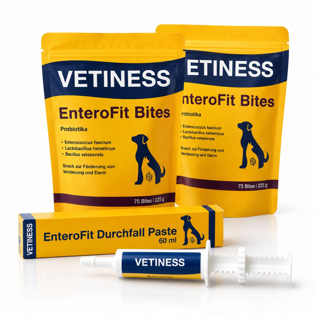 Vetiness EnteroFit Darm-Set für Hunde 510 g Kombipackung