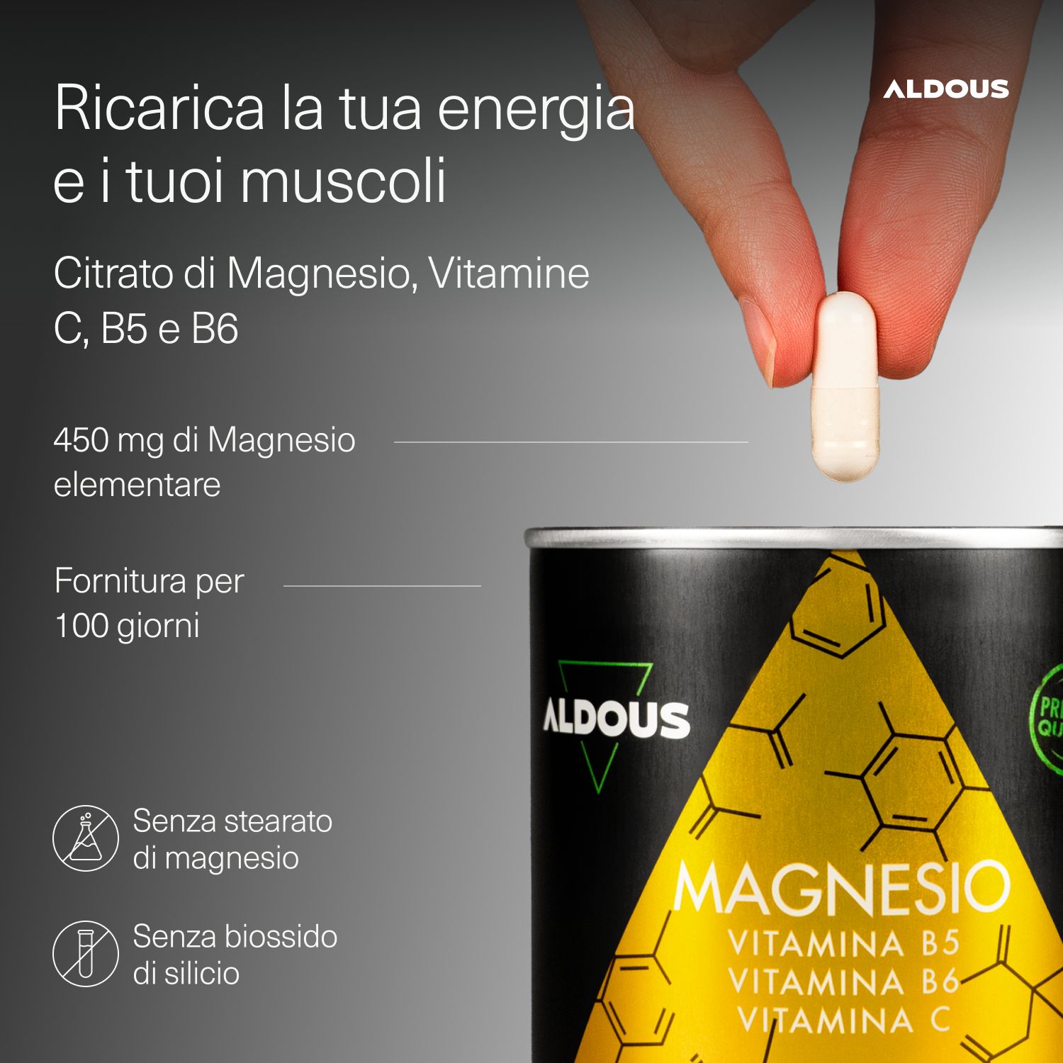 Aldous Magnesio Dose mit Vitaminen, 200 Kapseln, mit Premium Quality Siegel.