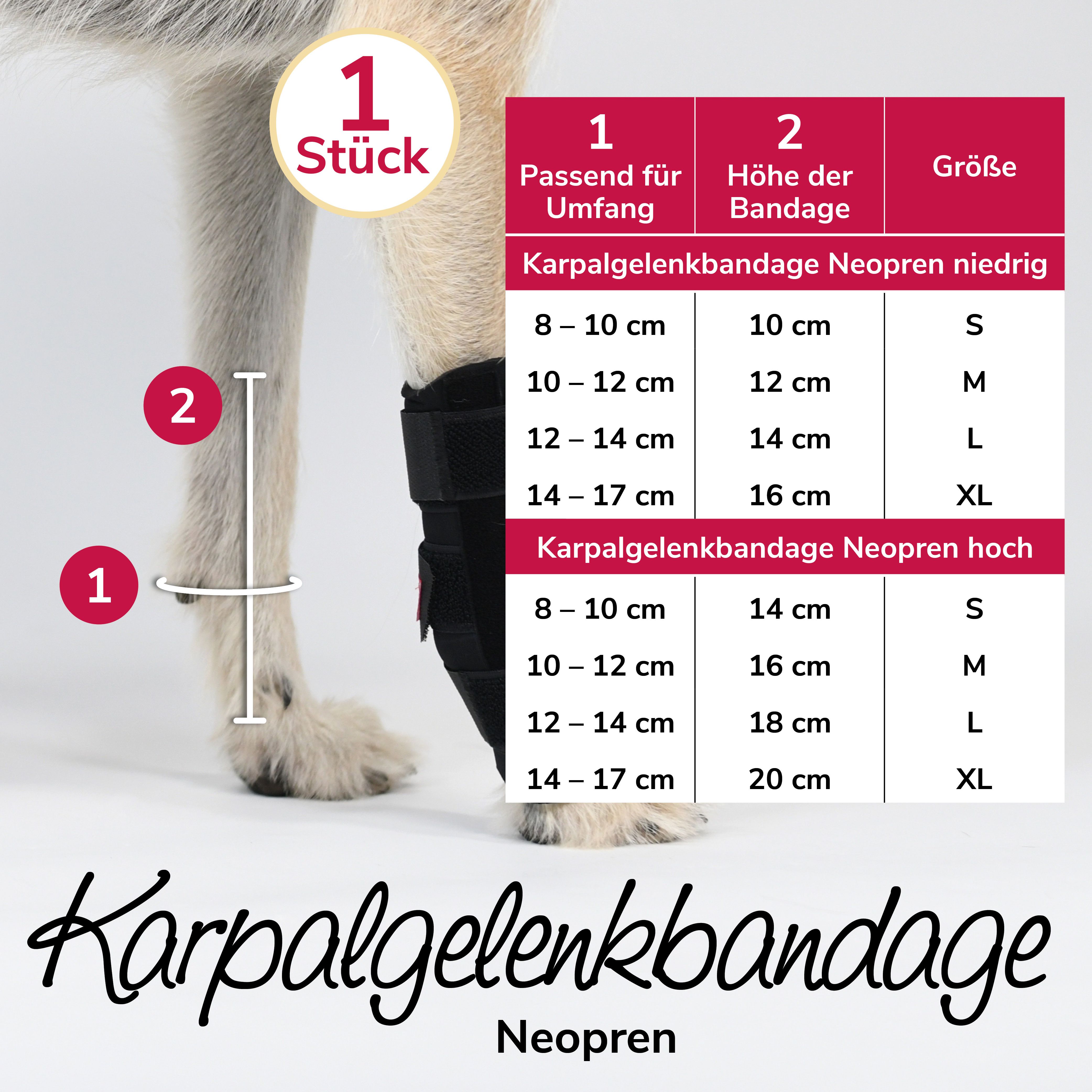 Schwarze Karpalgelenkbandage am Bein eines Hundes. Größenangaben in Tabelle: Umfang, Bandagenhöhe, Größe (S-XL).